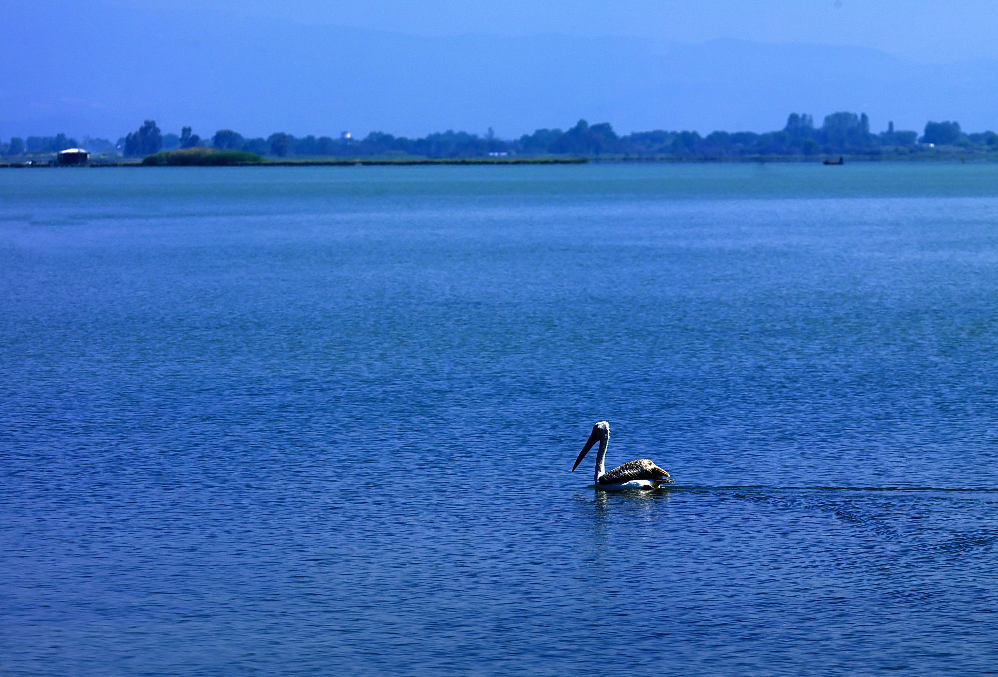 Στην Κορωνησία με το σύνθημα «Σώστε τον Αμβρακικό»