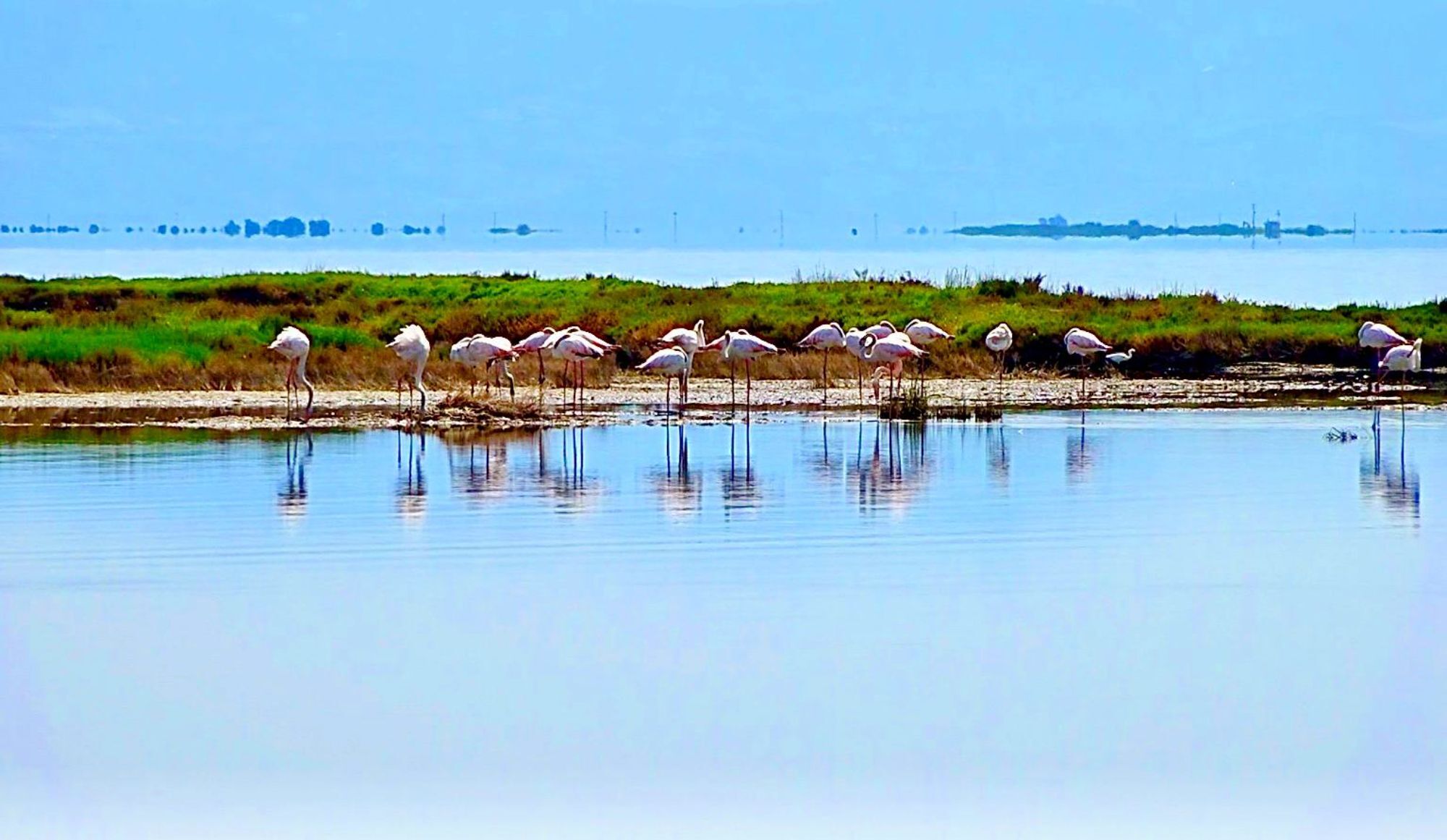 Στην Κορωνησία με το σύνθημα «Σώστε τον Αμβρακικό»