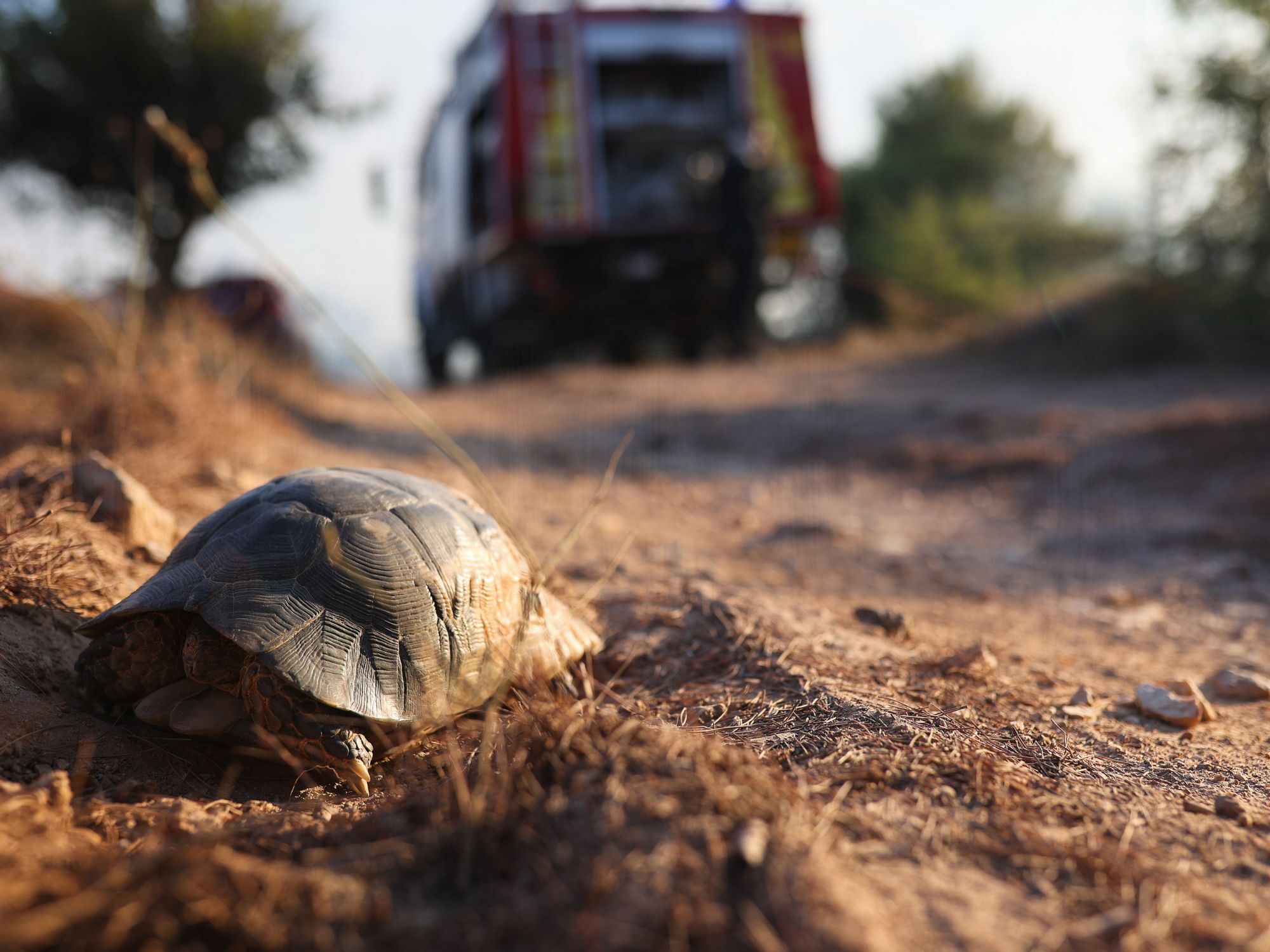 Εικόνες από τη φωτιά στην Αττική