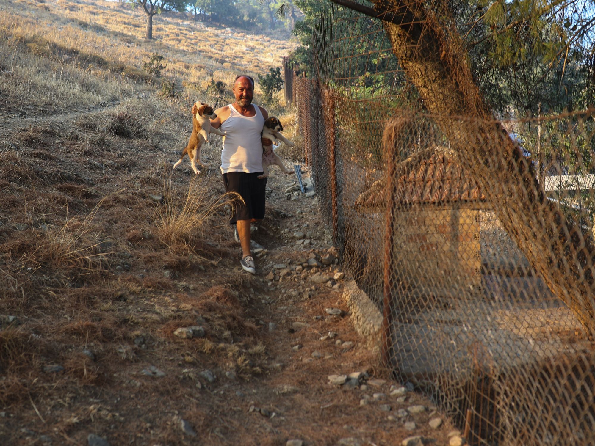 Άνθρωποι προσπαθούσαν να σώσουν τα ζώα τους από την πυρινη λαίλαπα