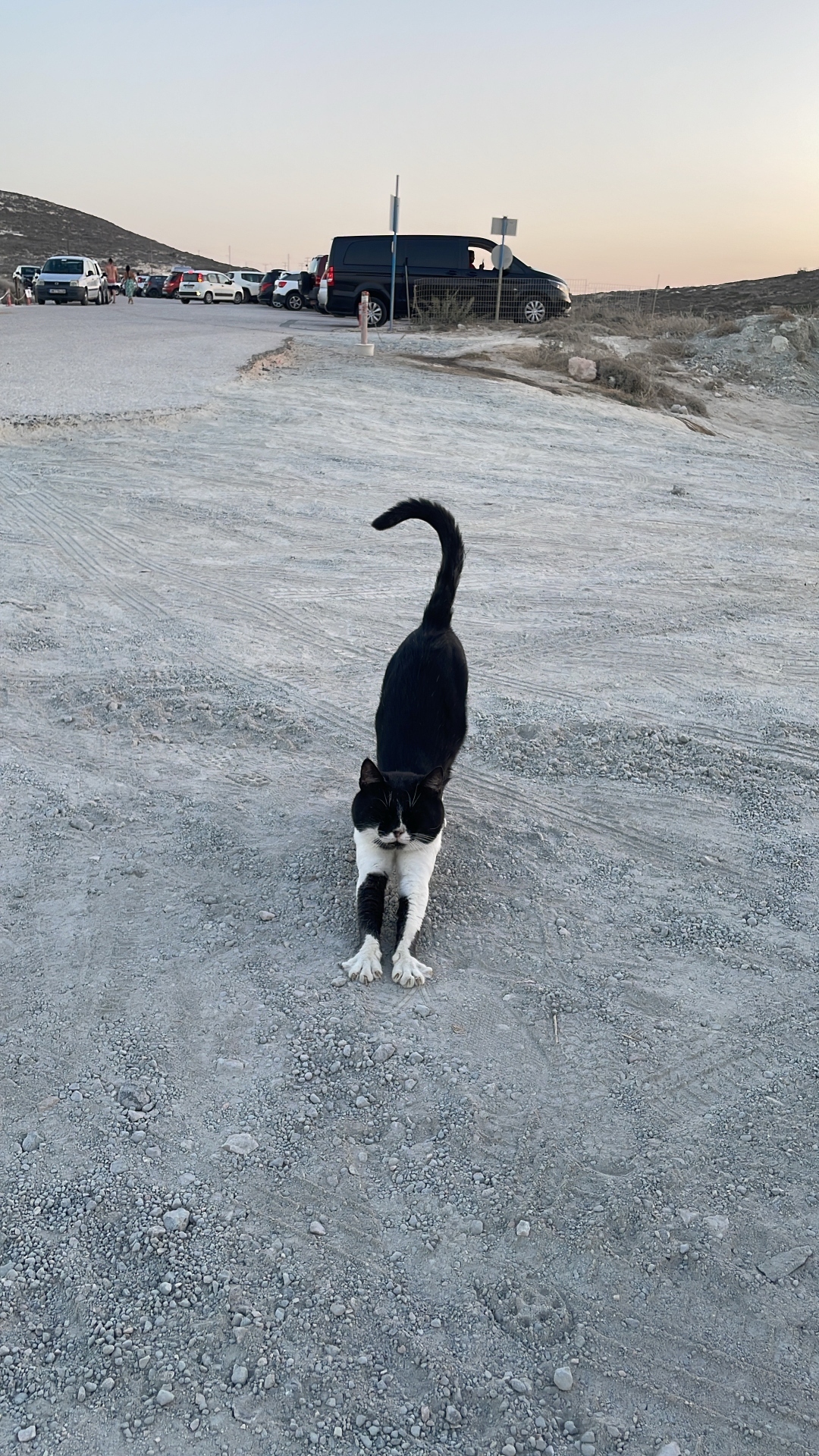 Σαρακήνικο στη Μήλο: Ένα photo story του φωτογράφου Πέτρου Νικόλτσου από τη φημισμένη παραλία και το νησί