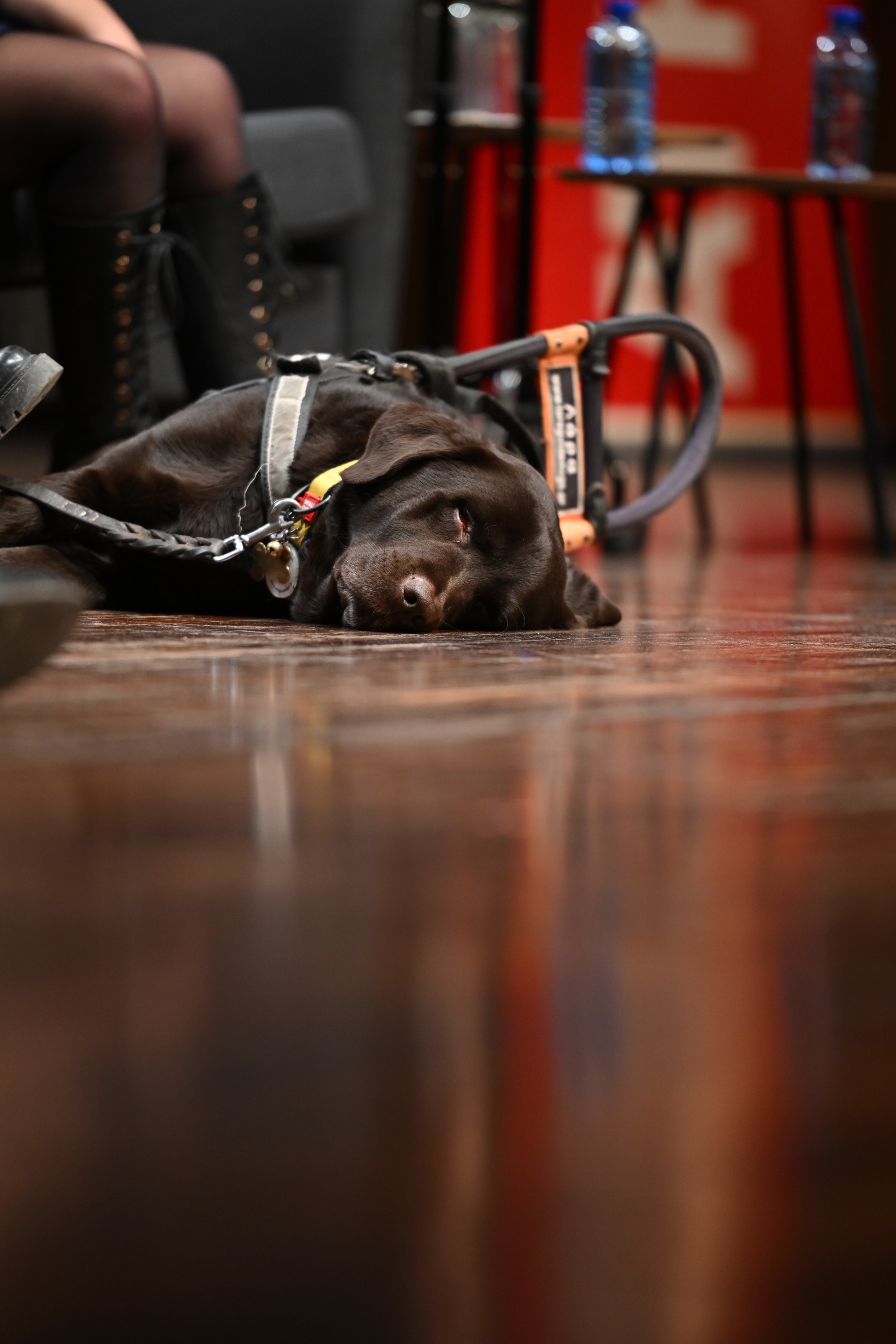 Forum Athens Voice | Ενσυναίσθηση: Οι αρετές του 21ου αιώνα στο Μέγαρο Μουσικής Αθηνών