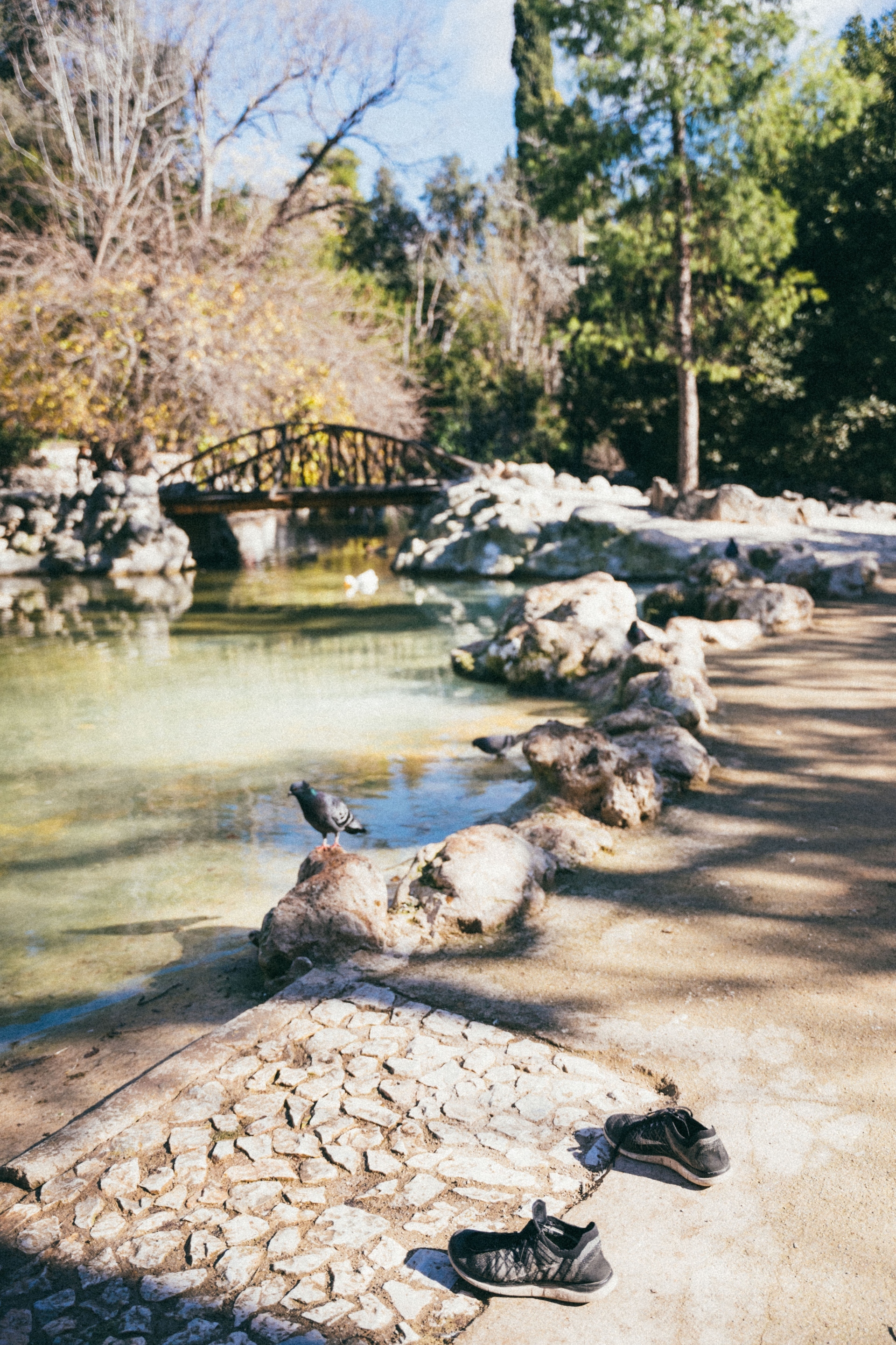 Γιώργος Ζώης: Ο σκηνοθέτης του «Αρκάντια» παρουσιάζει και γράφει στην ATHENS VOICE για το φωτογραφικό project με τα αδέσποτα παπούτσια στην Αθήνα