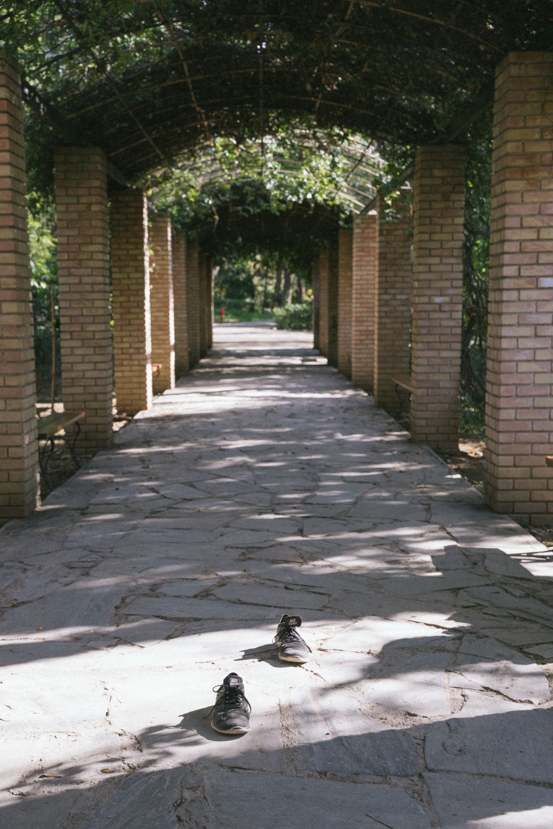 Γιώργος Ζώης: Ο σκηνοθέτης του «Αρκάντια» παρουσιάζει και γράφει στην ATHENS VOICE για το φωτογραφικό project με τα αδέσποτα παπούτσια στην Αθήνα