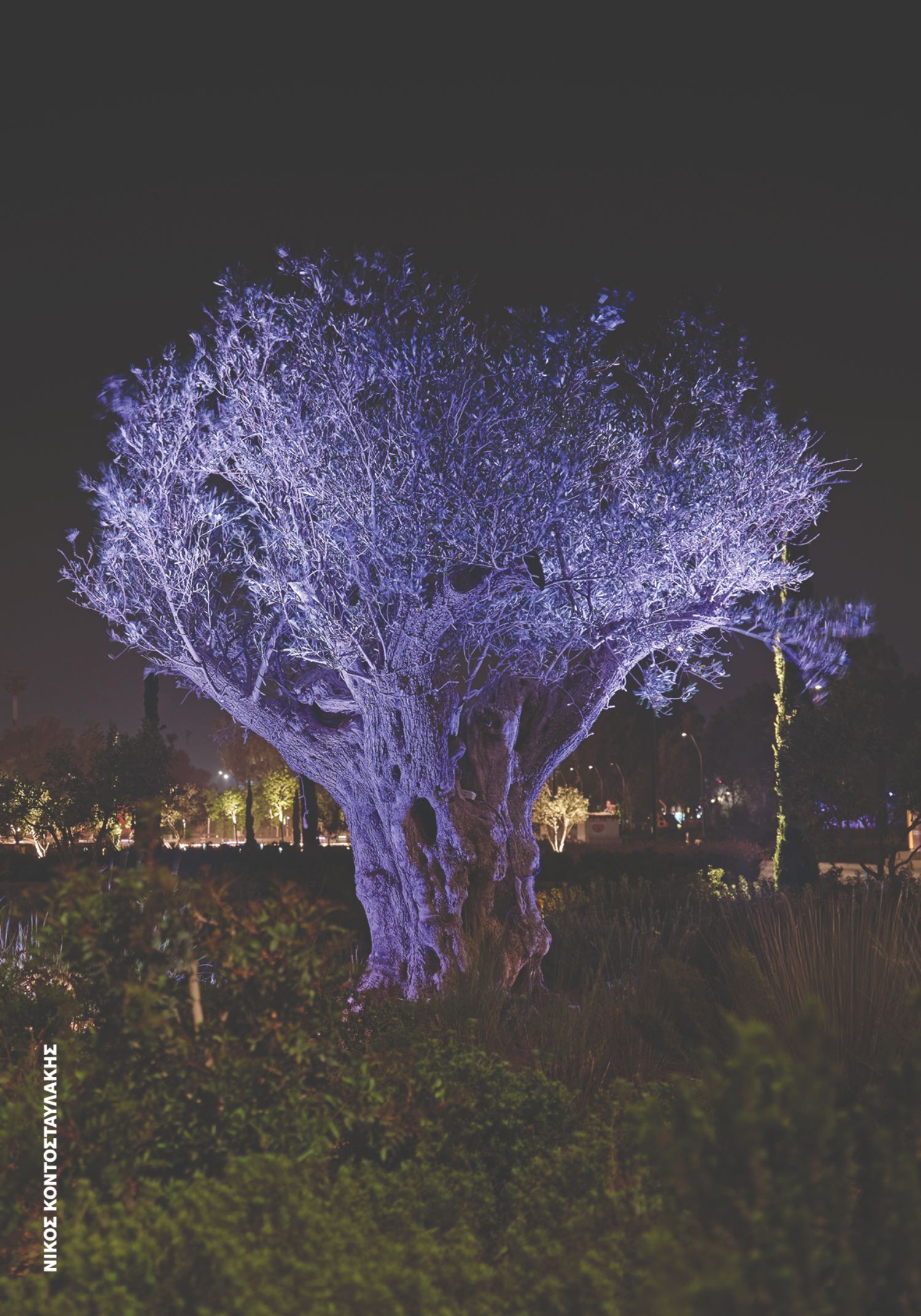 Νίκος Κοντοσταυλάκης, The Ellinikon Experience Park - Ελληνικό, Αθήνα, 2024 