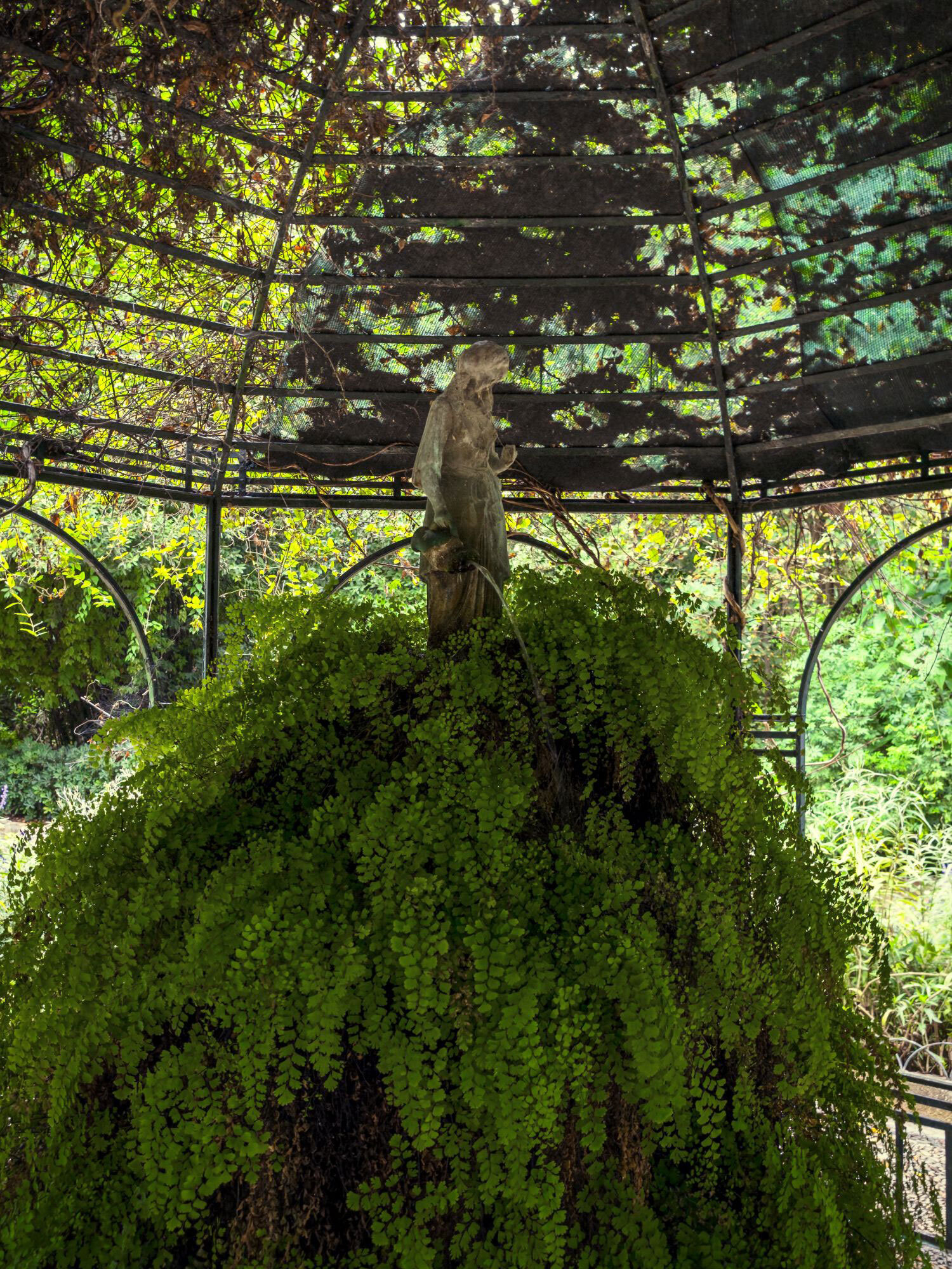 Ο Βασίλης Μακρής φωτογραφίζει τον Εθνικό Κήπο χωρίς ανθρώπους, αναδεικνύοντας τη συνύπαρξη φύσης, ιστορίας και μνήμης.