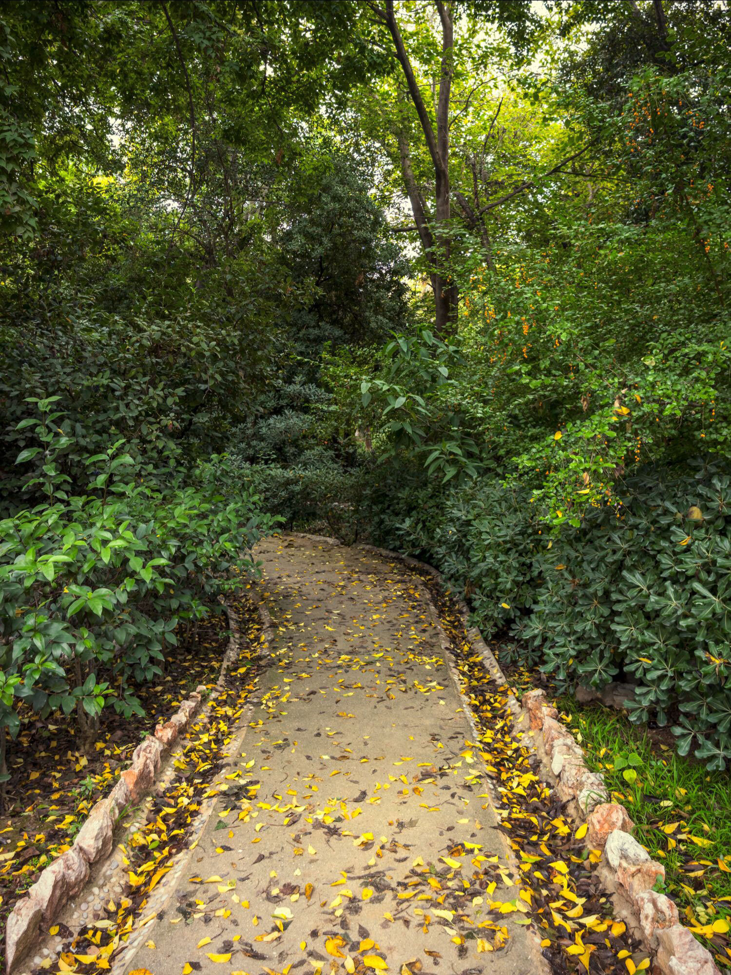 Ο Βασίλης Μακρής φωτογραφίζει τον Εθνικό Κήπο χωρίς ανθρώπους, αναδεικνύοντας τη συνύπαρξη φύσης, ιστορίας και μνήμης.