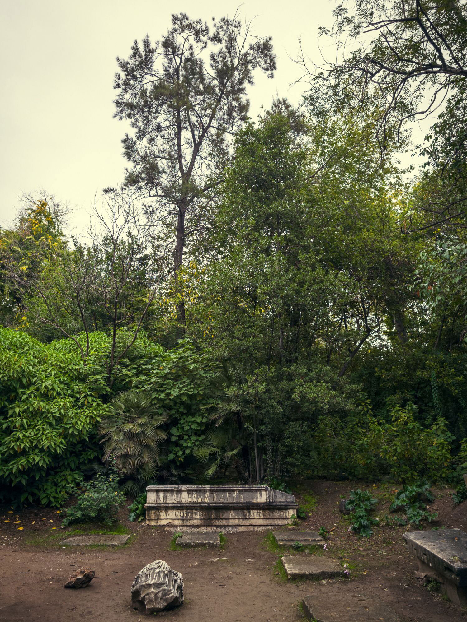 Ο Βασίλης Μακρής φωτογραφίζει τον Εθνικό Κήπο χωρίς ανθρώπους, αναδεικνύοντας τη συνύπαρξη φύσης, ιστορίας και μνήμης.