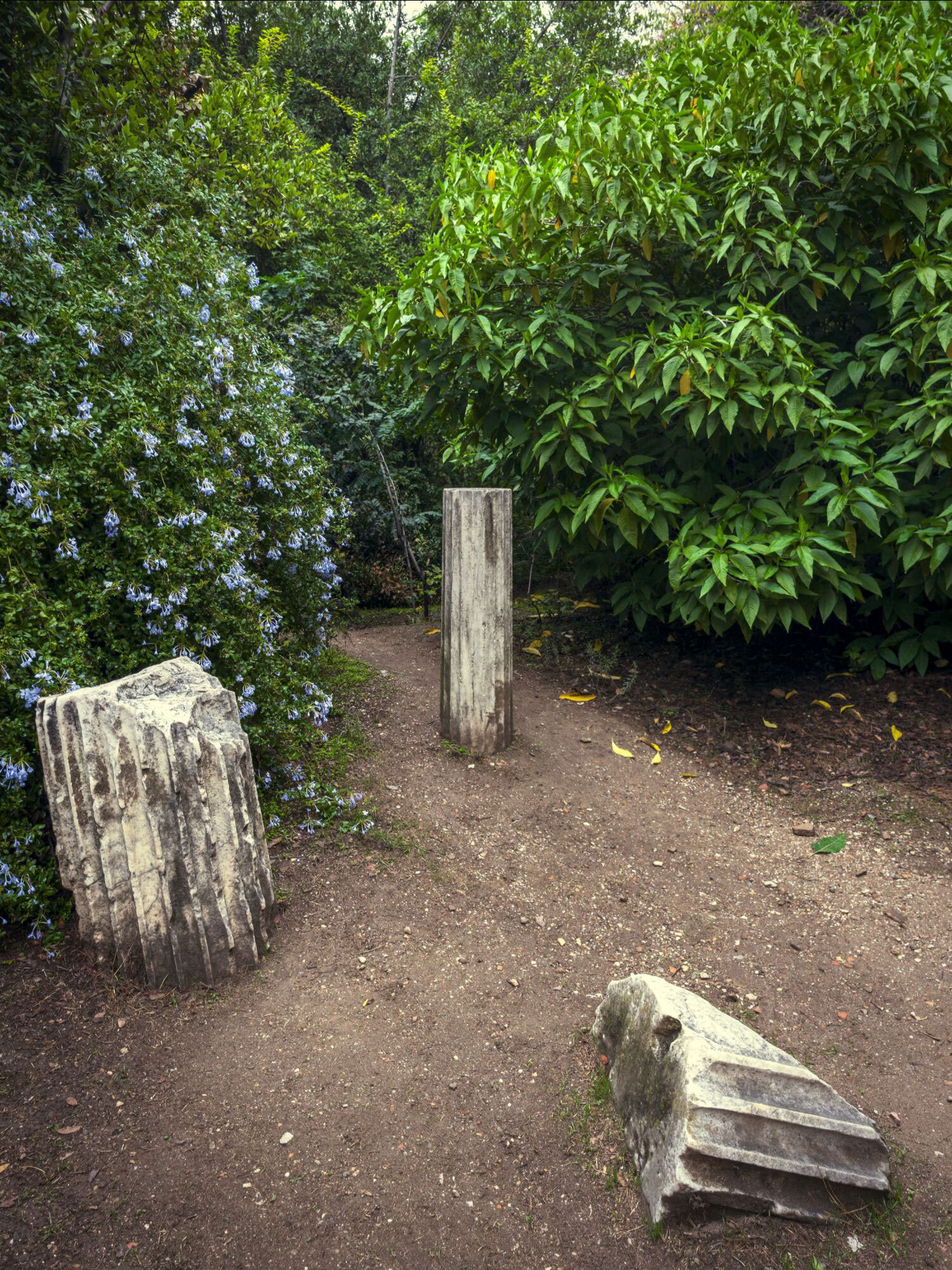 Ο Βασίλης Μακρής φωτογραφίζει τον Εθνικό Κήπο χωρίς ανθρώπους, αναδεικνύοντας τη συνύπαρξη φύσης, ιστορίας και μνήμης.
