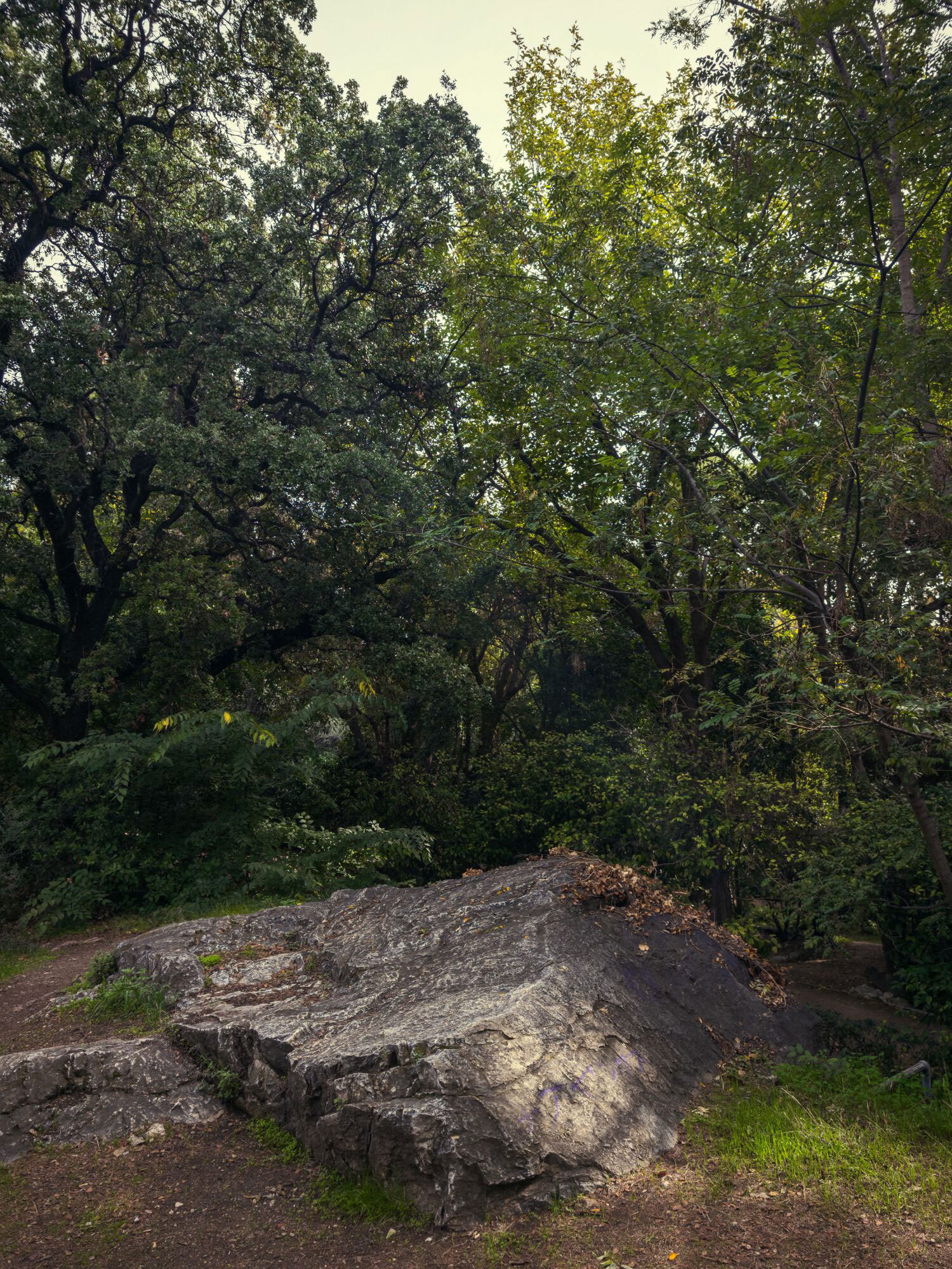 Ο Βασίλης Μακρής φωτογραφίζει τον Εθνικό Κήπο χωρίς ανθρώπους, αναδεικνύοντας τη συνύπαρξη φύσης, ιστορίας και μνήμης.