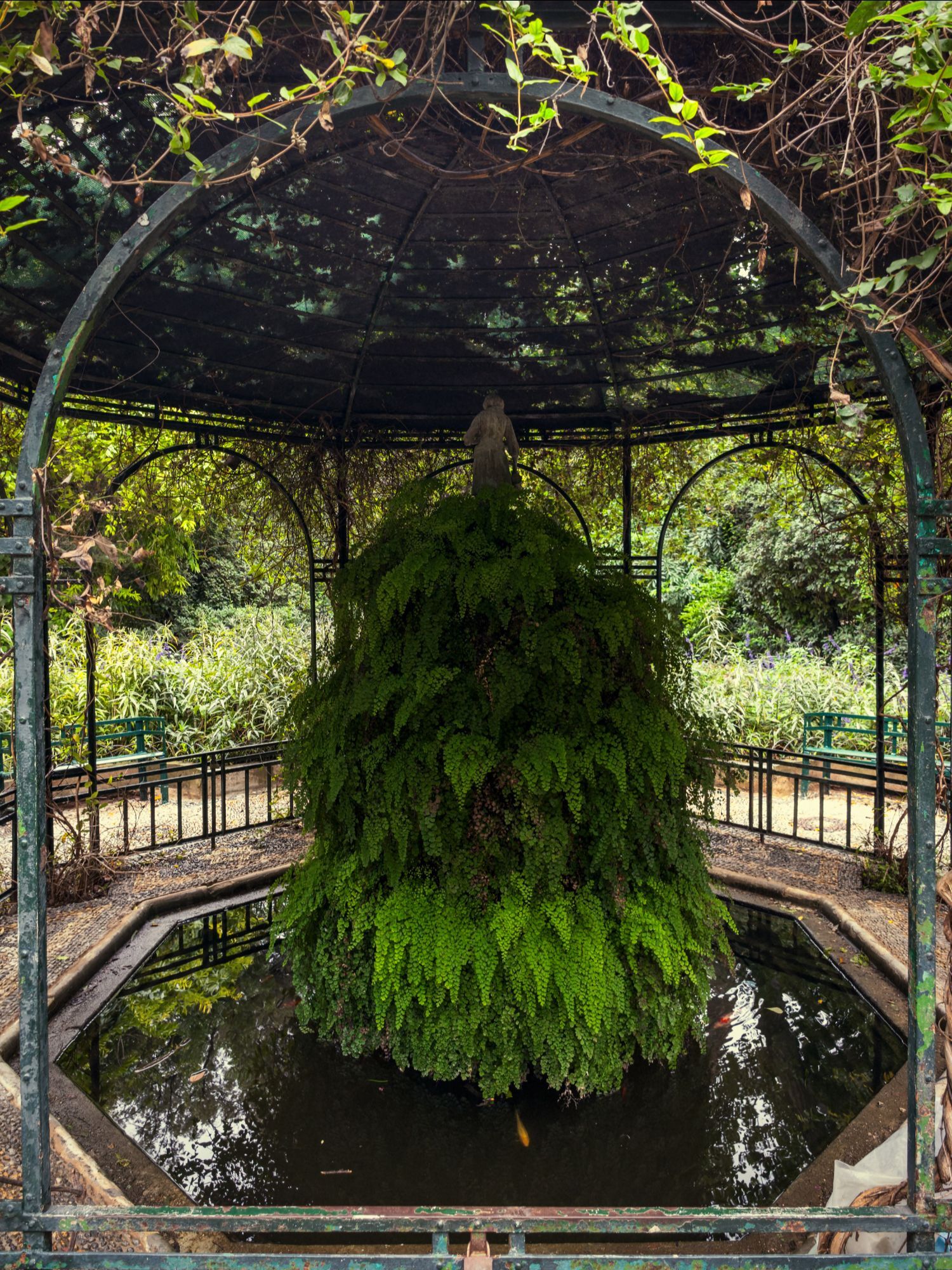 Ο Βασίλης Μακρής φωτογραφίζει τον Εθνικό Κήπο χωρίς ανθρώπους, αναδεικνύοντας τη συνύπαρξη φύσης, ιστορίας και μνήμης.