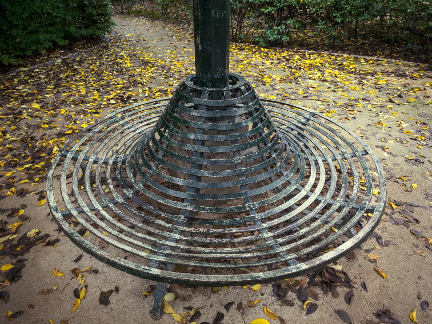 Ο Βασίλης Μακρής φωτογραφίζει τον Εθνικό Κήπο χωρίς ανθρώπους, αναδεικνύοντας τη συνύπαρξη φύσης, ιστορίας και μνήμης.