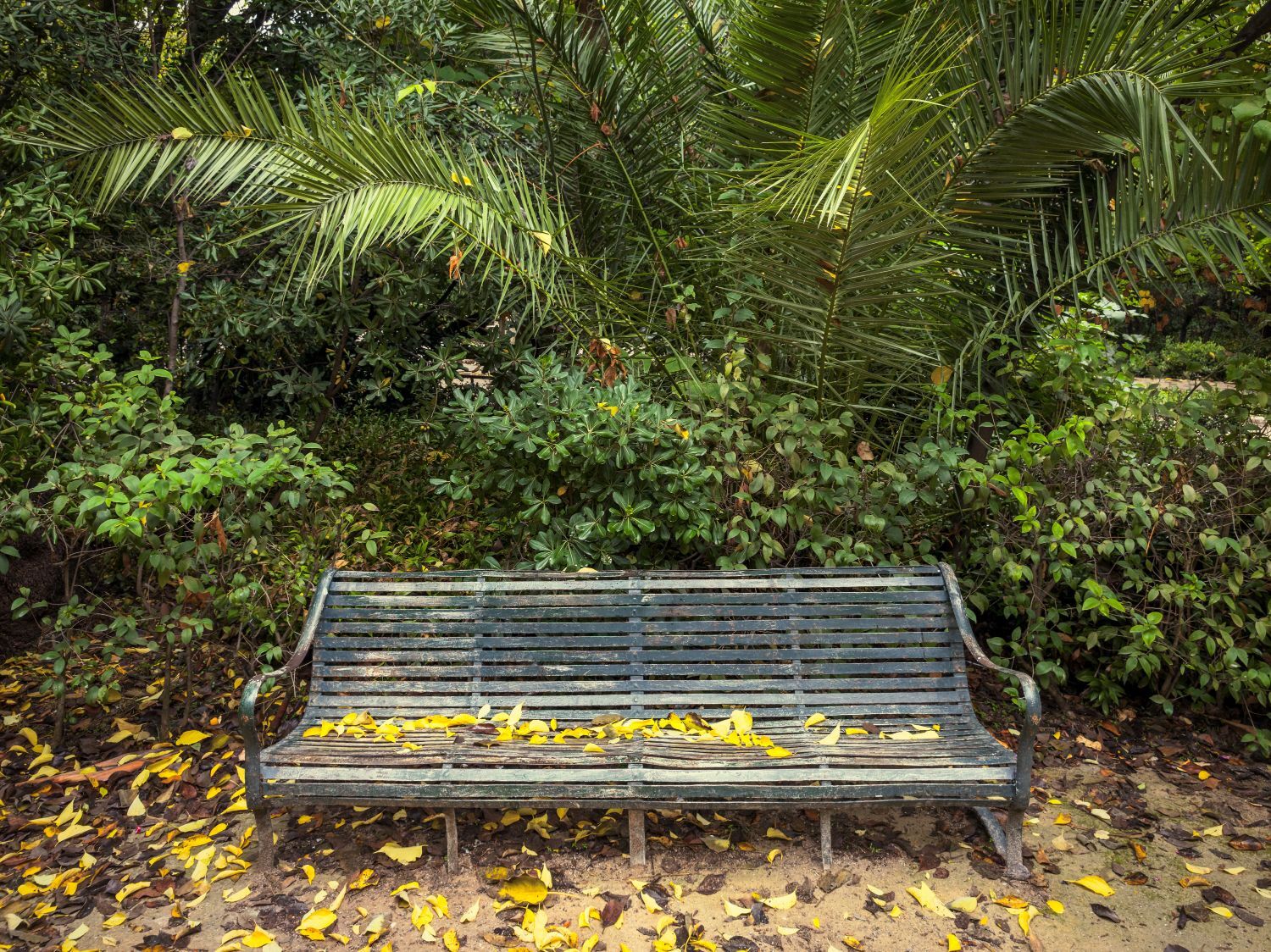 Ο Βασίλης Μακρής φωτογραφίζει τον Εθνικό Κήπο χωρίς ανθρώπους, αναδεικνύοντας τη συνύπαρξη φύσης, ιστορίας και μνήμης.