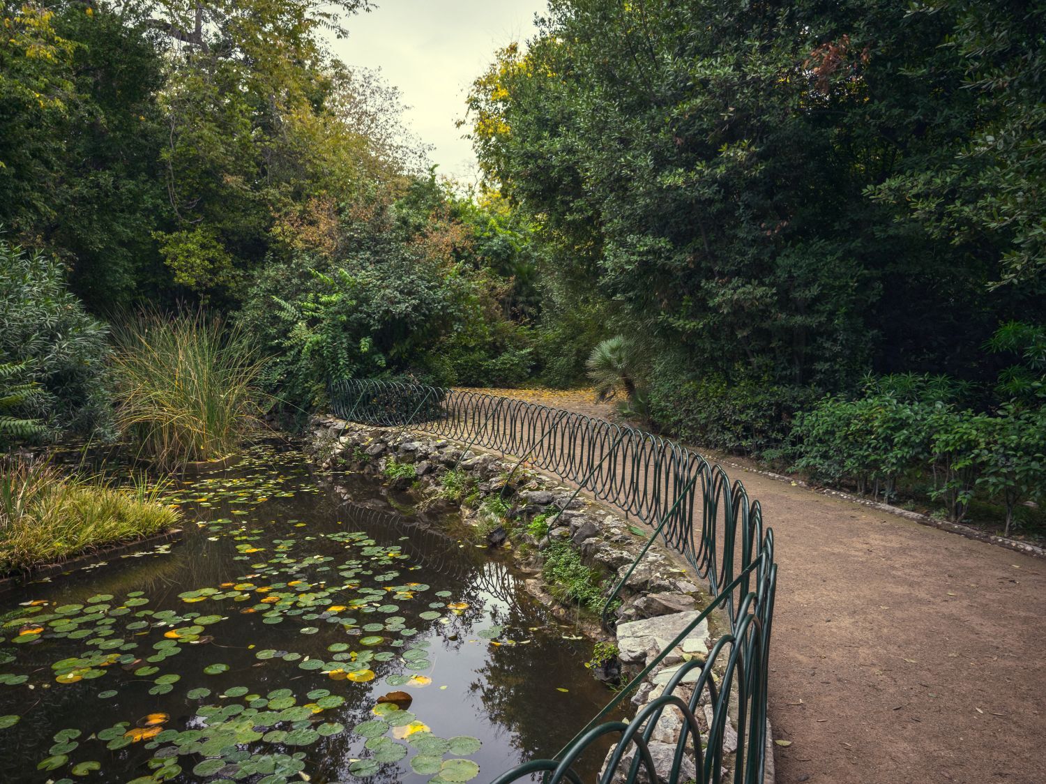 Ο Βασίλης Μακρής φωτογραφίζει τον Εθνικό Κήπο χωρίς ανθρώπους, αναδεικνύοντας τη συνύπαρξη φύσης, ιστορίας και μνήμης.