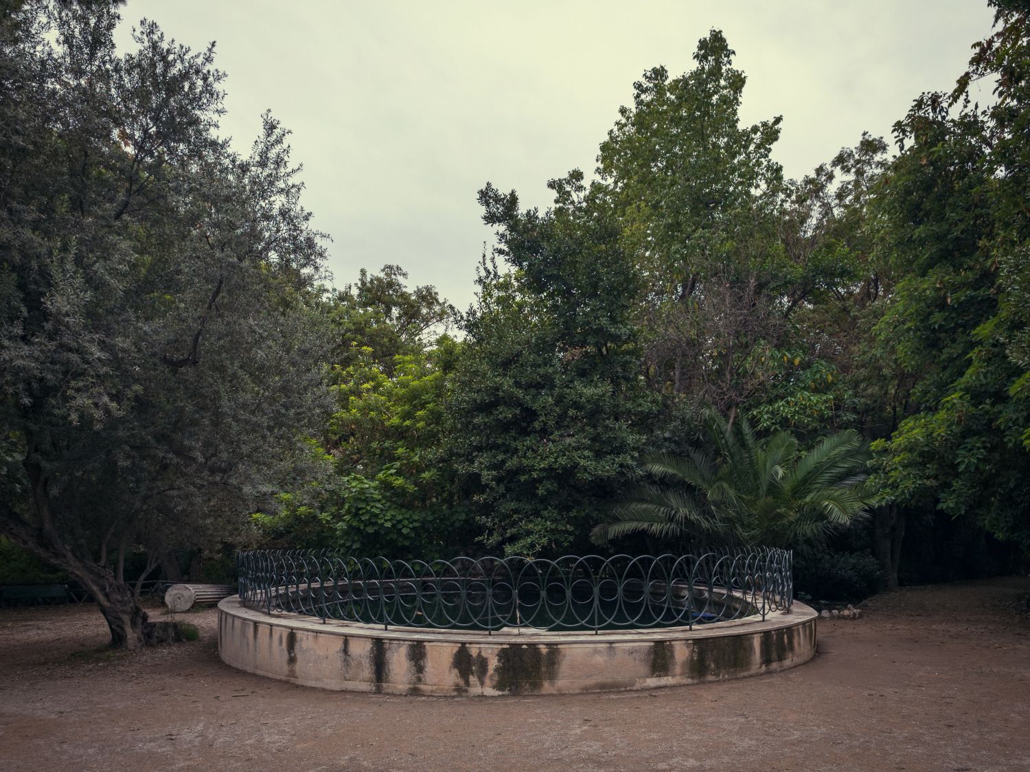 Ο Βασίλης Μακρής φωτογραφίζει τον Εθνικό Κήπο χωρίς ανθρώπους, αναδεικνύοντας τη συνύπαρξη φύσης, ιστορίας και μνήμης.