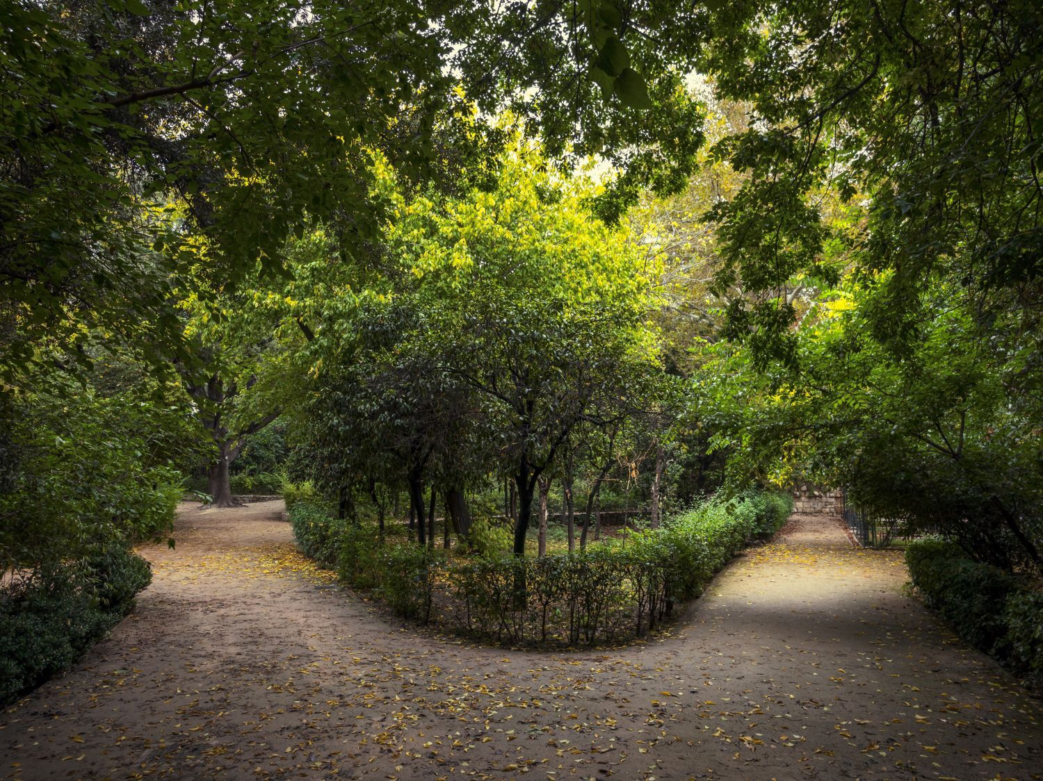 Ο Βασίλης Μακρής φωτογραφίζει τον Εθνικό Κήπο χωρίς ανθρώπους, αναδεικνύοντας τη συνύπαρξη φύσης, ιστορίας και μνήμης.