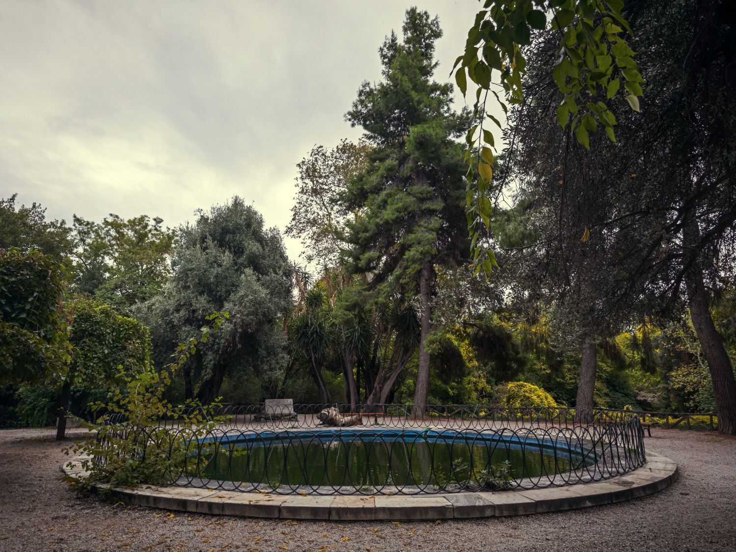 Ο Βασίλης Μακρής φωτογραφίζει τον Εθνικό Κήπο χωρίς ανθρώπους, αναδεικνύοντας τη συνύπαρξη φύσης, ιστορίας και μνήμης.