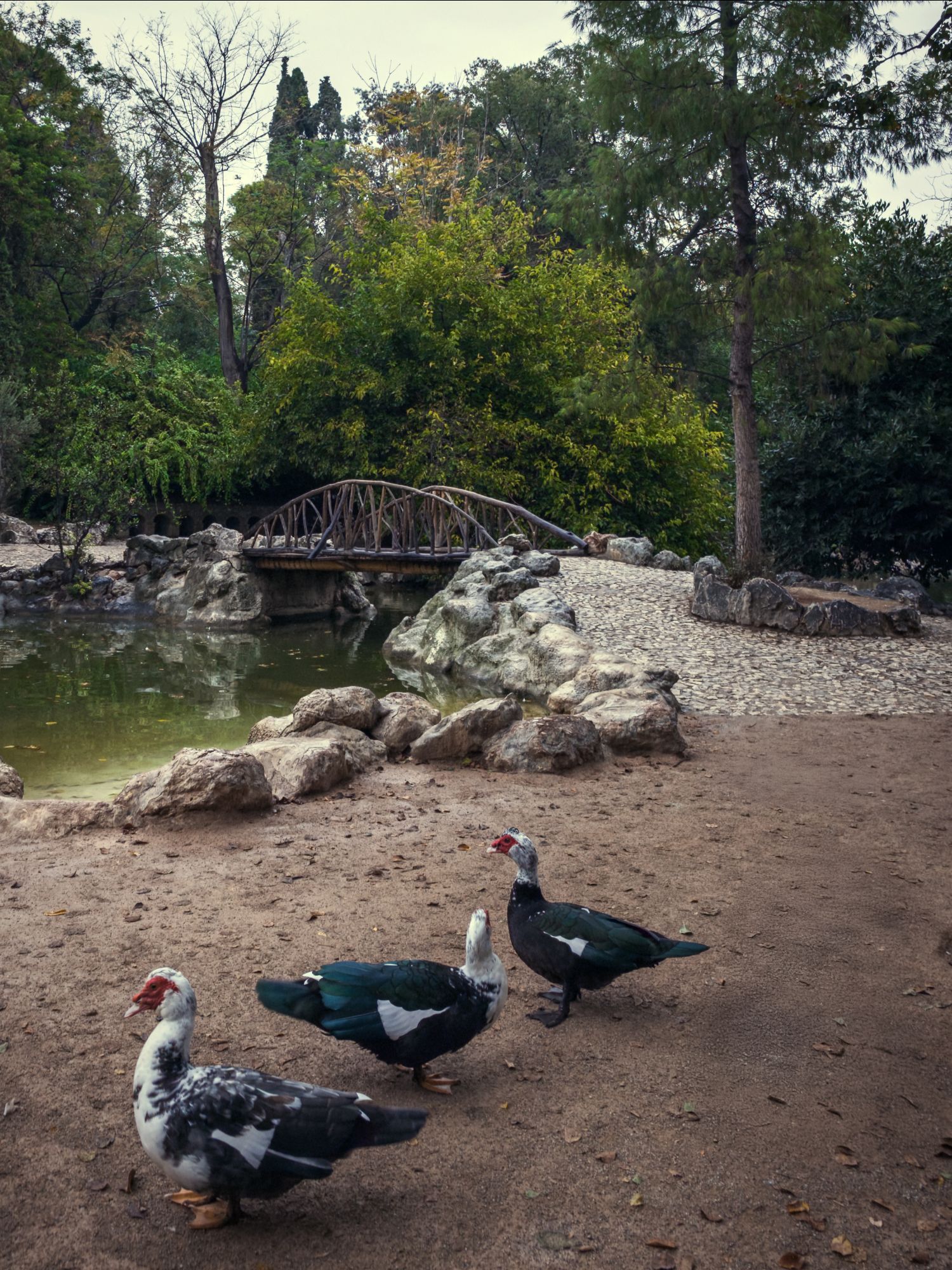 Ο Βασίλης Μακρής φωτογραφίζει τον Εθνικό Κήπο χωρίς ανθρώπους, αναδεικνύοντας τη συνύπαρξη φύσης, ιστορίας και μνήμης.