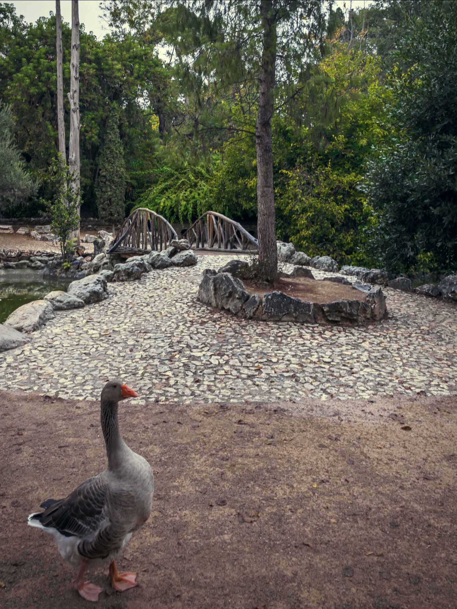 Ο Βασίλης Μακρής φωτογραφίζει τον Εθνικό Κήπο χωρίς ανθρώπους, αναδεικνύοντας τη συνύπαρξη φύσης, ιστορίας και μνήμης.
