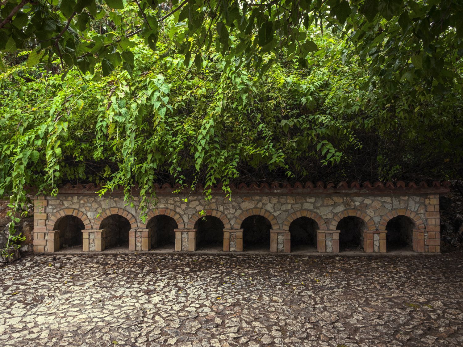 Ο Βασίλης Μακρής φωτογραφίζει τον Εθνικό Κήπο χωρίς ανθρώπους, αναδεικνύοντας τη συνύπαρξη φύσης, ιστορίας και μνήμης.