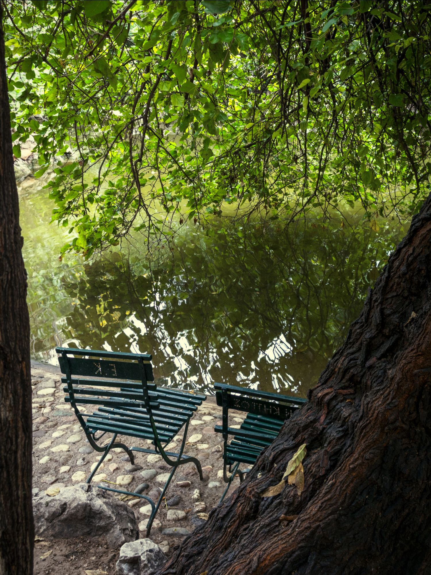 Ο Βασίλης Μακρής φωτογραφίζει τον Εθνικό Κήπο χωρίς ανθρώπους, αναδεικνύοντας τη συνύπαρξη φύσης, ιστορίας και μνήμης.