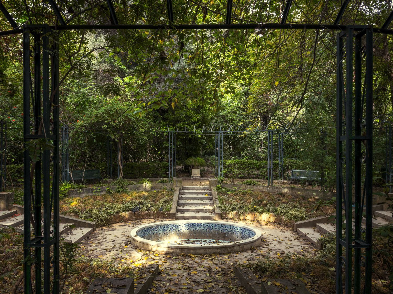 Ο Βασίλης Μακρής φωτογραφίζει τον Εθνικό Κήπο χωρίς ανθρώπους, αναδεικνύοντας τη συνύπαρξη φύσης, ιστορίας και μνήμης.