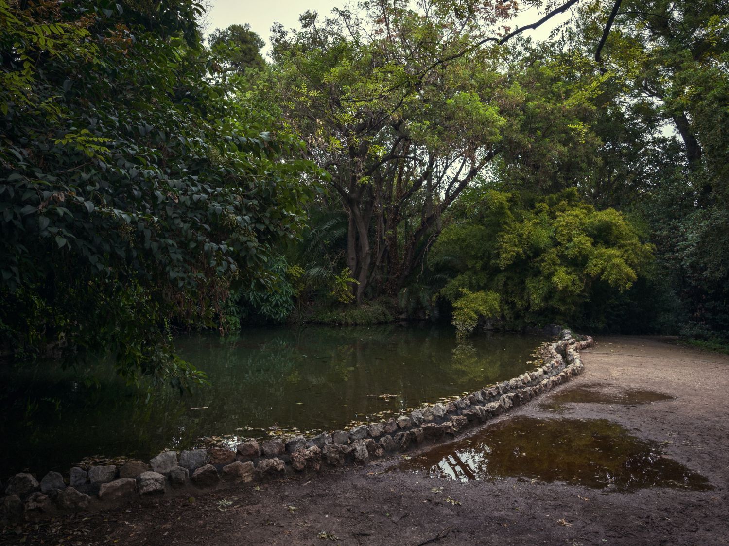 Ο Βασίλης Μακρής φωτογραφίζει τον Εθνικό Κήπο χωρίς ανθρώπους, αναδεικνύοντας τη συνύπαρξη φύσης, ιστορίας και μνήμης.