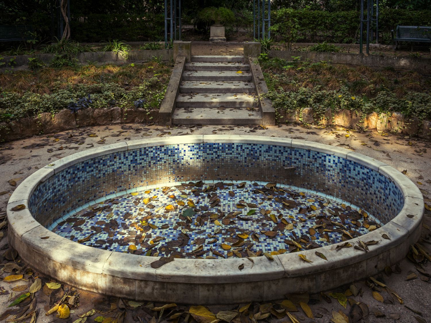 Ο Βασίλης Μακρής φωτογραφίζει τον Εθνικό Κήπο χωρίς ανθρώπους, αναδεικνύοντας τη συνύπαρξη φύσης, ιστορίας και μνήμης.