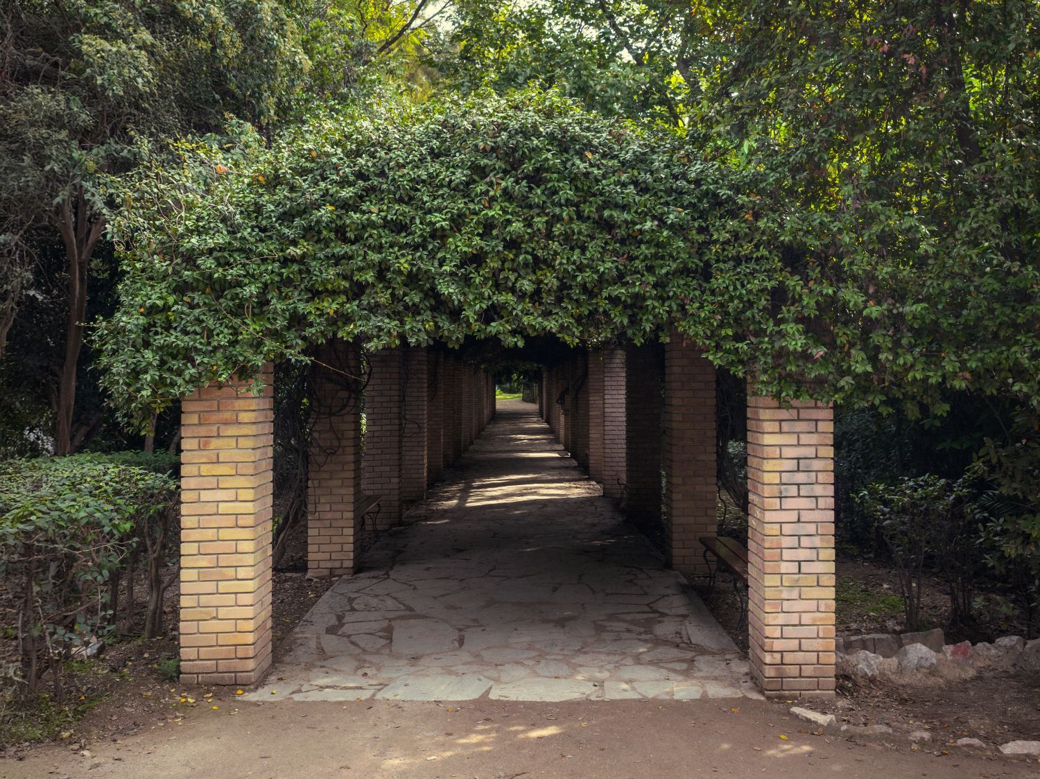 Ο Βασίλης Μακρής φωτογραφίζει τον Εθνικό Κήπο χωρίς ανθρώπους, αναδεικνύοντας τη συνύπαρξη φύσης, ιστορίας και μνήμης.
