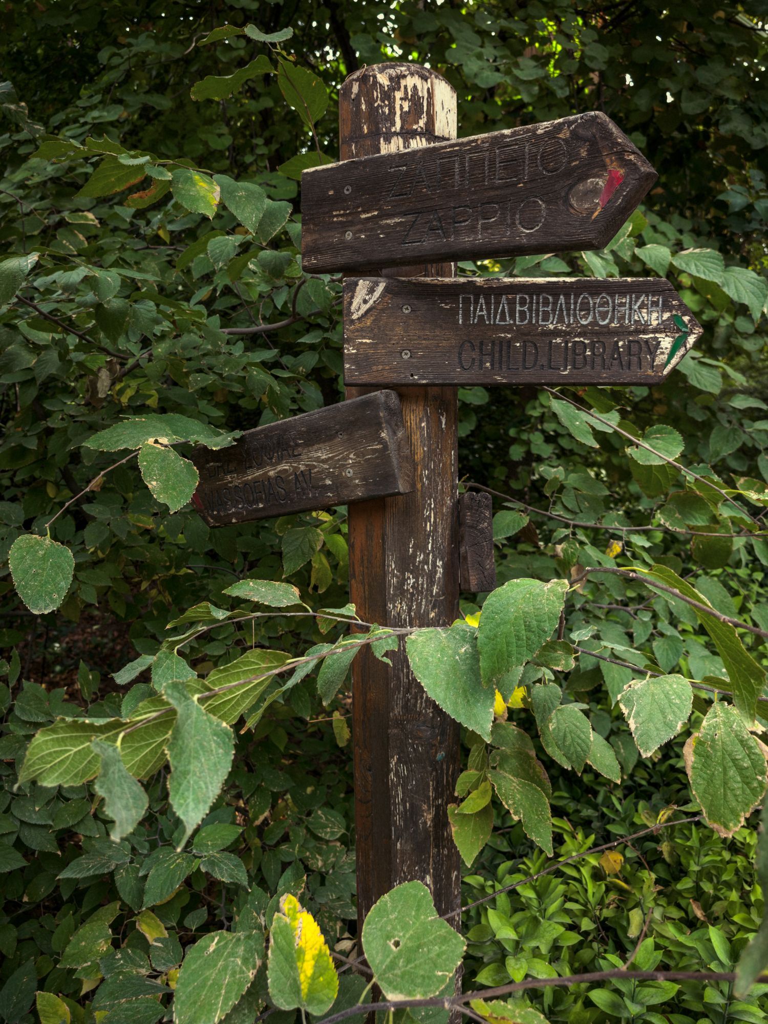 Ο Βασίλης Μακρής φωτογραφίζει τον Εθνικό Κήπο χωρίς ανθρώπους, αναδεικνύοντας τη συνύπαρξη φύσης, ιστορίας και μνήμης.