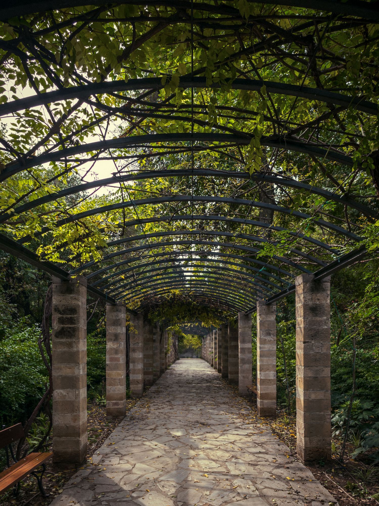 Ο Βασίλης Μακρής φωτογραφίζει τον Εθνικό Κήπο χωρίς ανθρώπους, αναδεικνύοντας τη συνύπαρξη φύσης, ιστορίας και μνήμης.