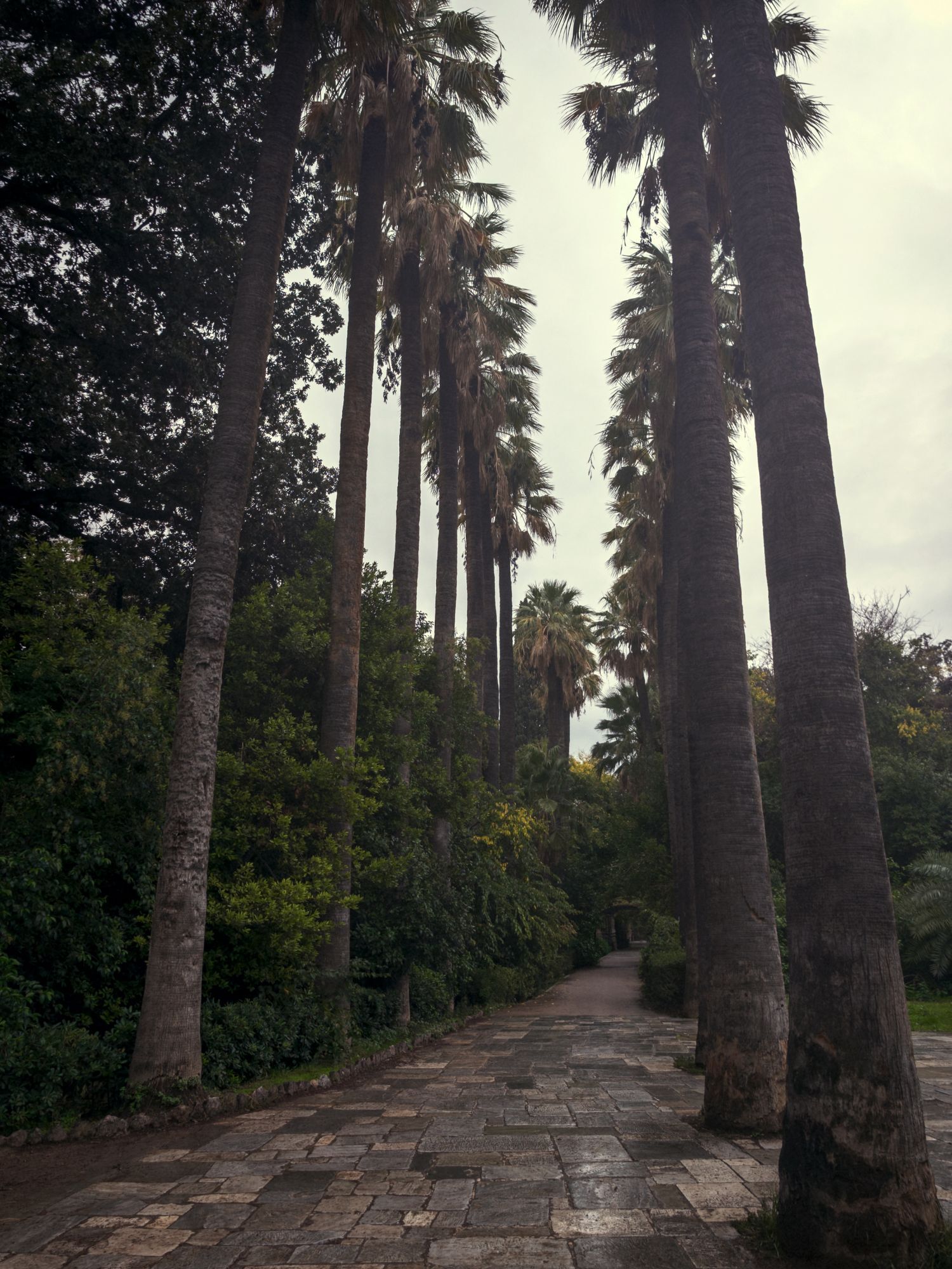 Ο Βασίλης Μακρής φωτογραφίζει τον Εθνικό Κήπο χωρίς ανθρώπους, αναδεικνύοντας τη συνύπαρξη φύσης, ιστορίας και μνήμης.