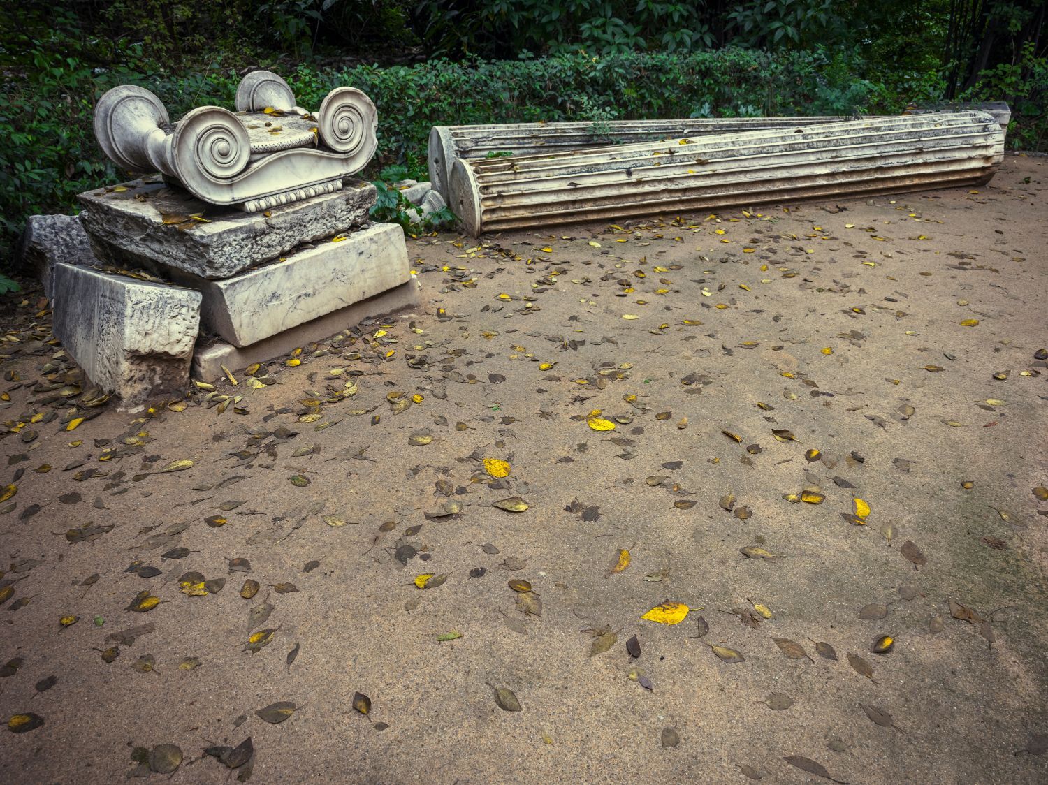 Ο Βασίλης Μακρής φωτογραφίζει τον Εθνικό Κήπο χωρίς ανθρώπους, αναδεικνύοντας τη συνύπαρξη φύσης, ιστορίας και μνήμης.