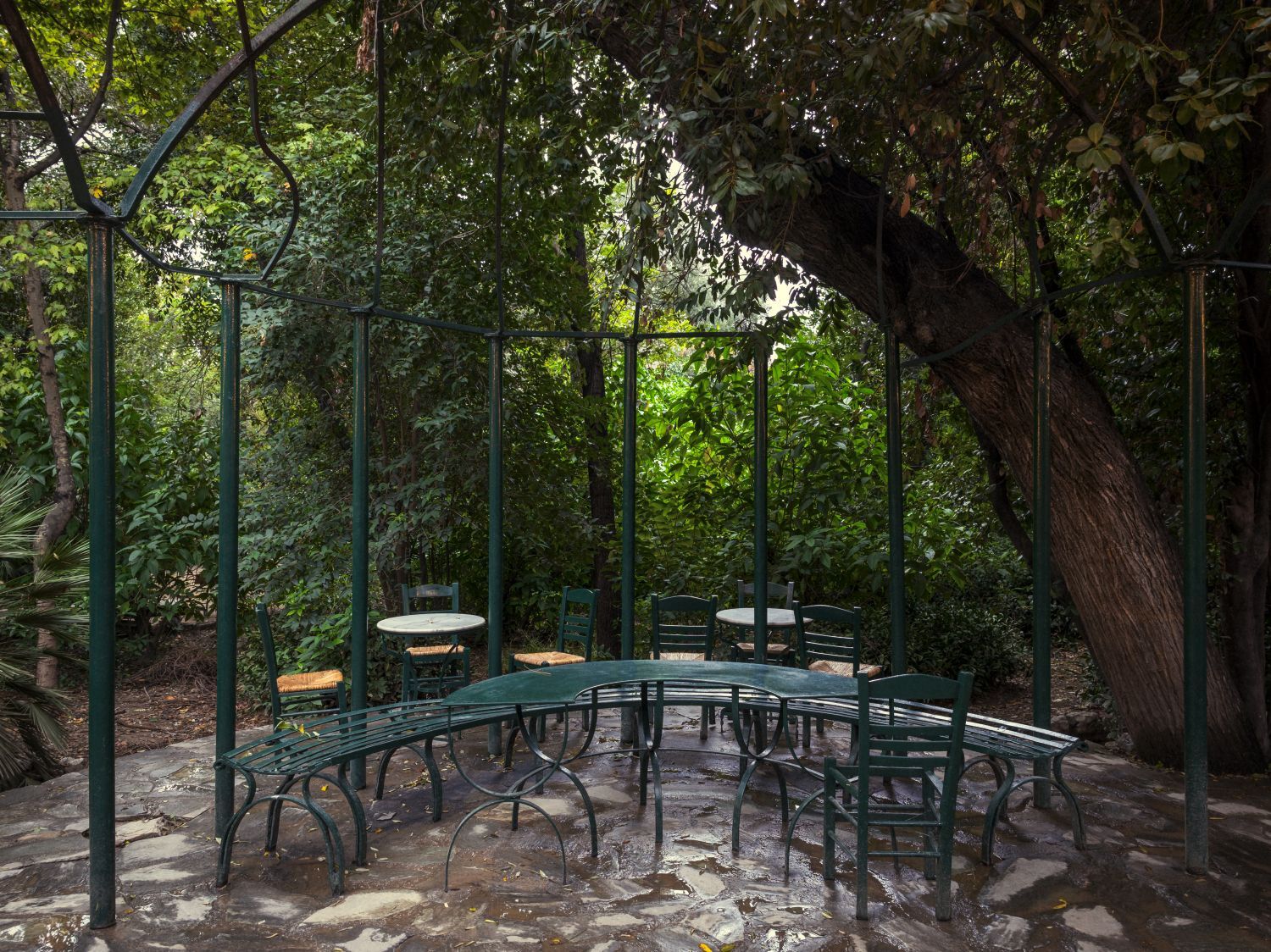 Ο Βασίλης Μακρής φωτογραφίζει τον Εθνικό Κήπο χωρίς ανθρώπους, αναδεικνύοντας τη συνύπαρξη φύσης, ιστορίας και μνήμης.