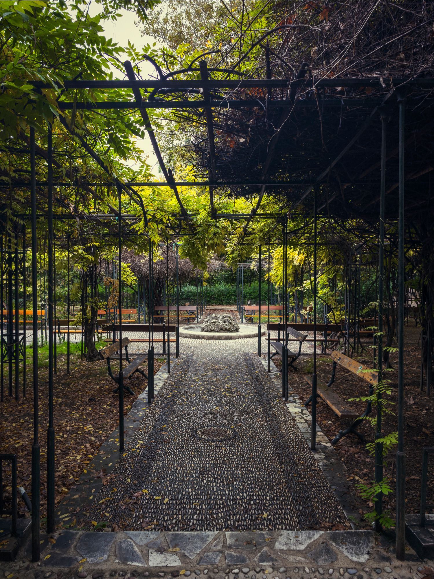 Ο Βασίλης Μακρής φωτογραφίζει τον Εθνικό Κήπο χωρίς ανθρώπους, αναδεικνύοντας τη συνύπαρξη φύσης, ιστορίας και μνήμης.