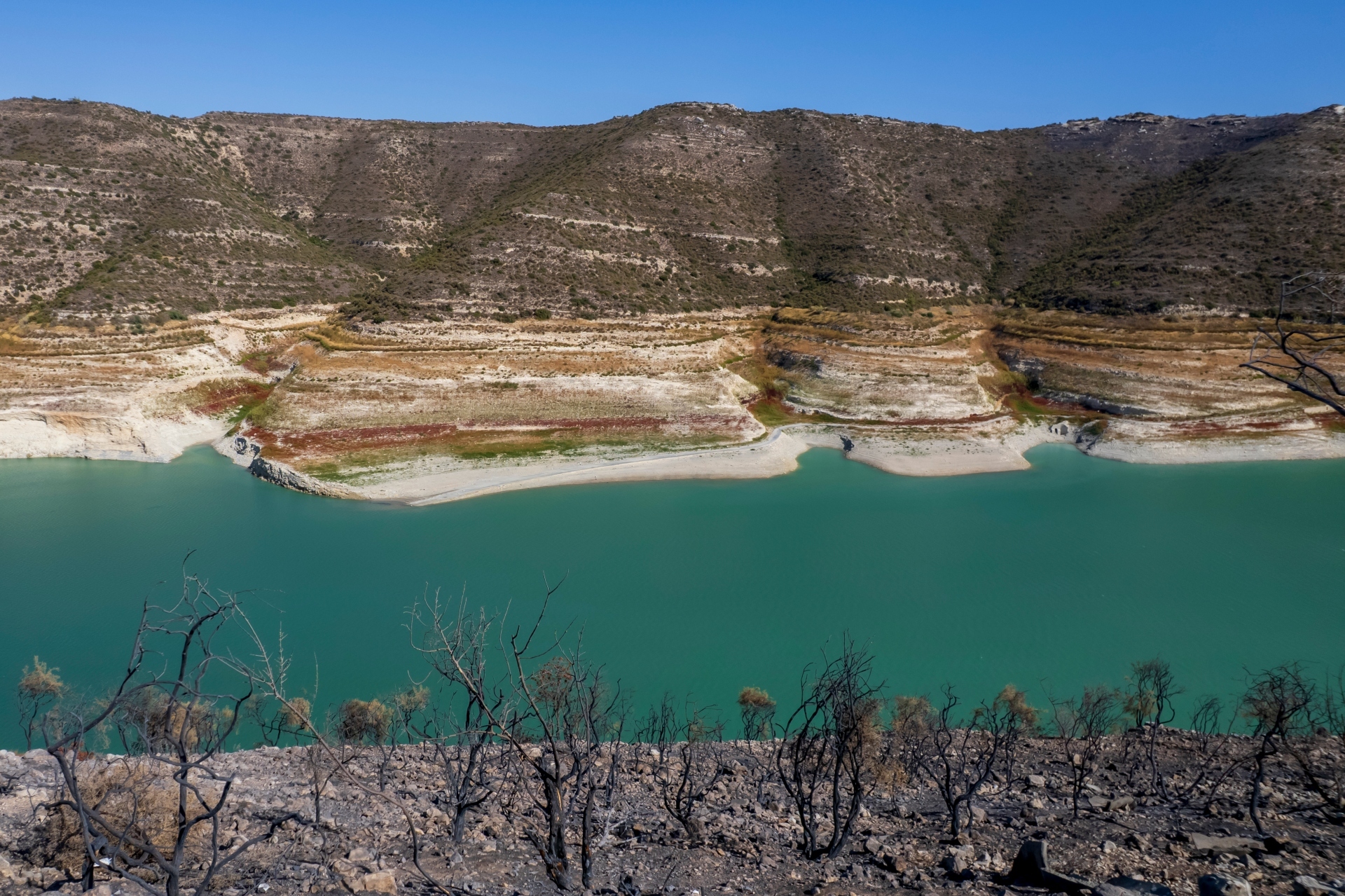 Ανασκόπηση 2025: Η χρονιά μέσα από τις εικόνες 26 Ελλήνων φωτογράφων.