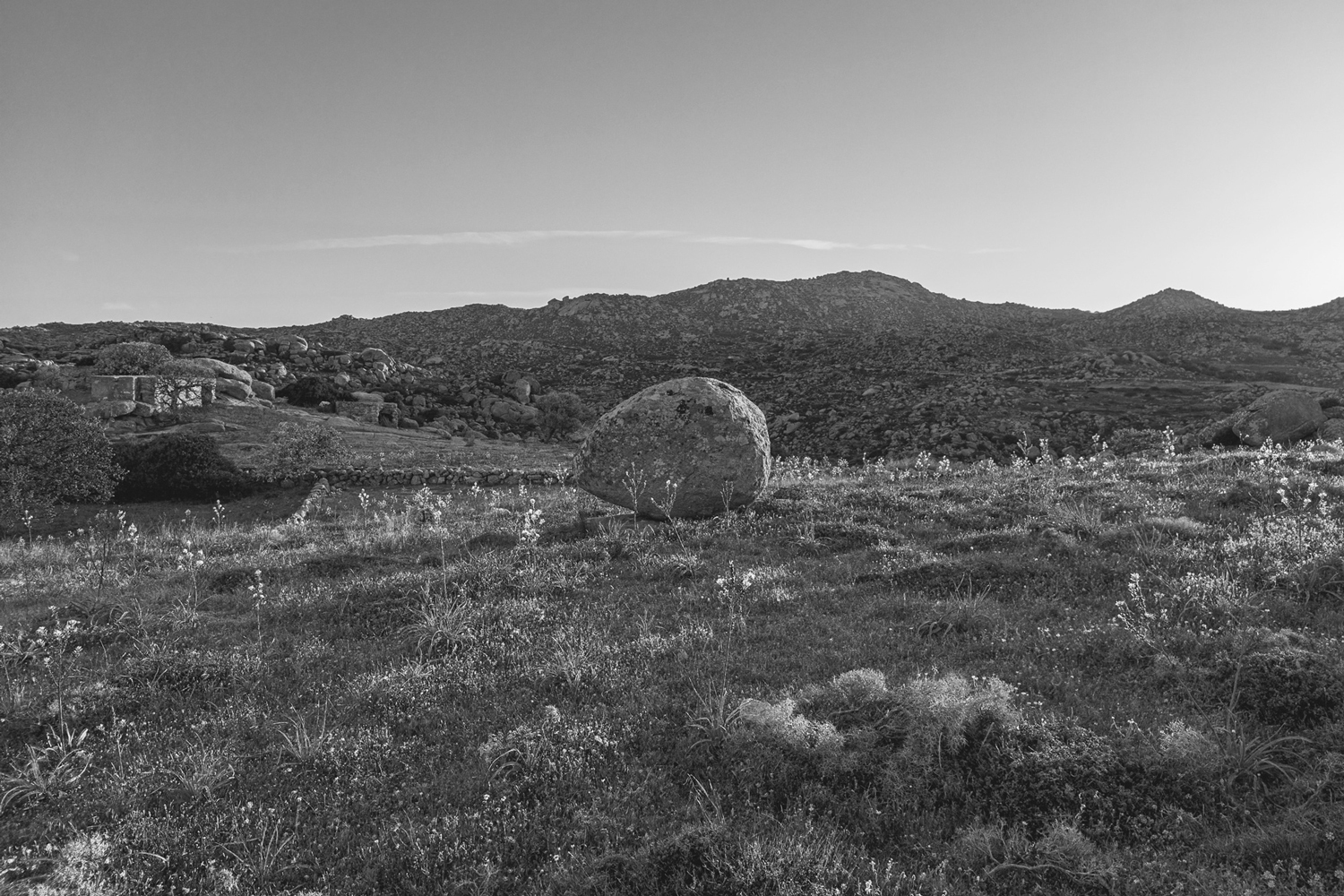 Βώλακας | Τήνος