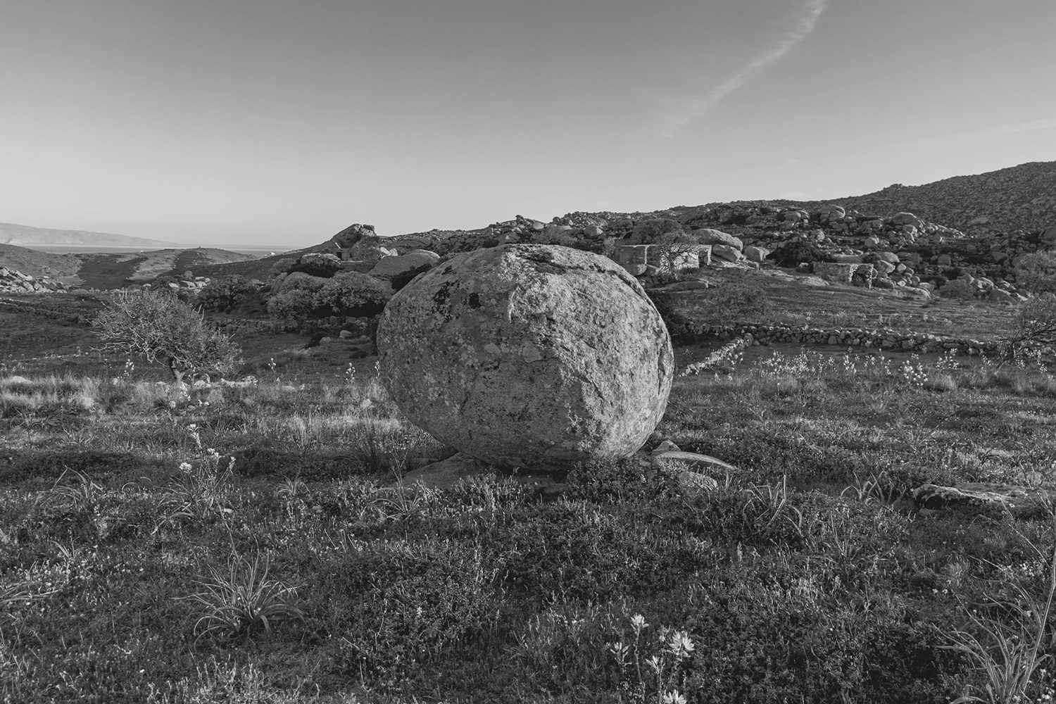 Βώλακας | Τήνος