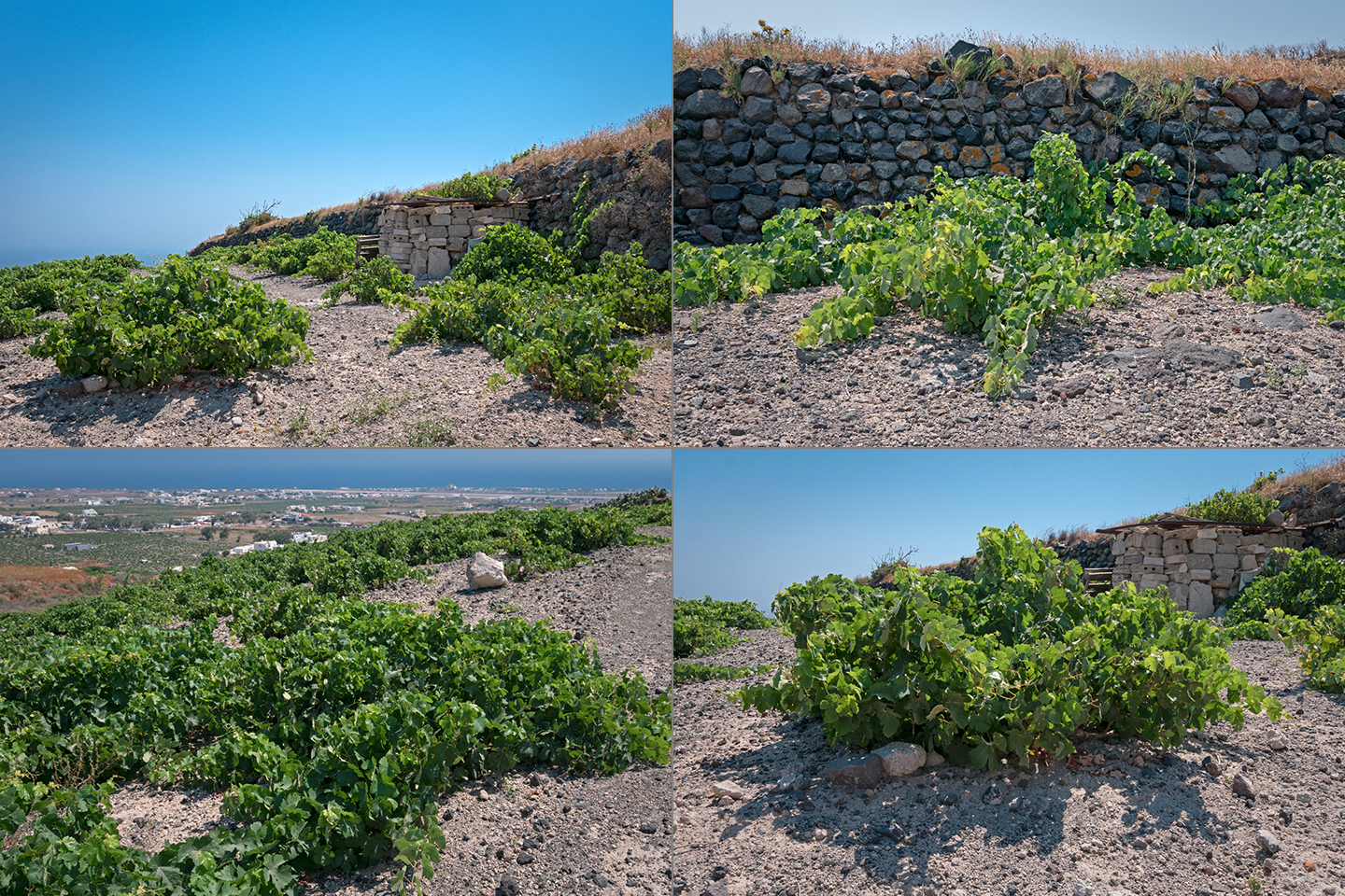 santorini-ta-entos-topia__61_