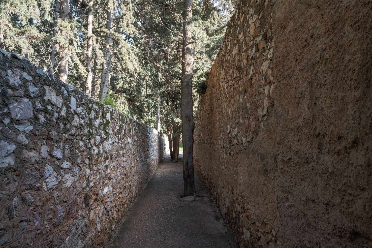 Σκοπευτήριο Καισαριανής