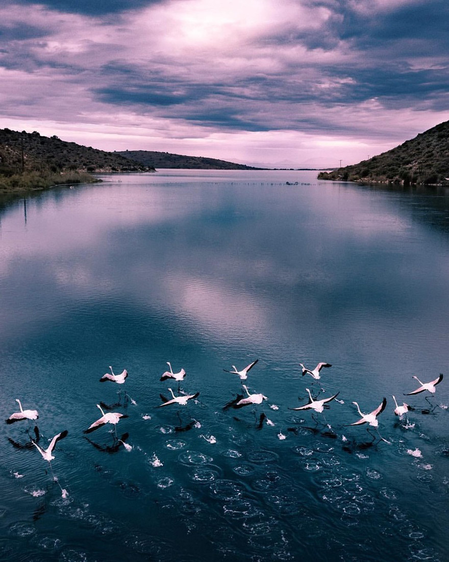 Γιώργος Μητρόπουλος / @g_mitropoulos_ 