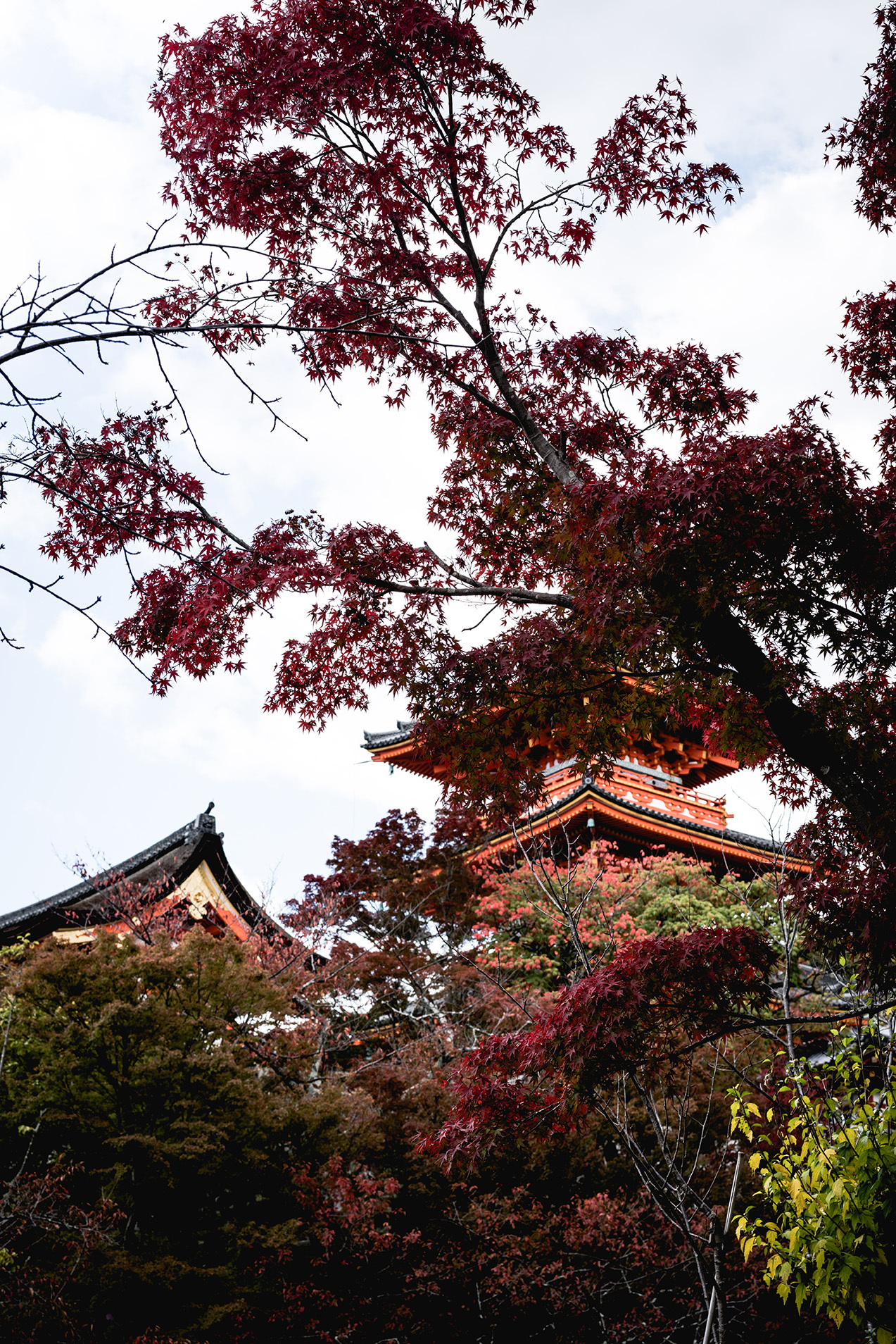 kyoto._kiyomizu-dera_temple.jpg