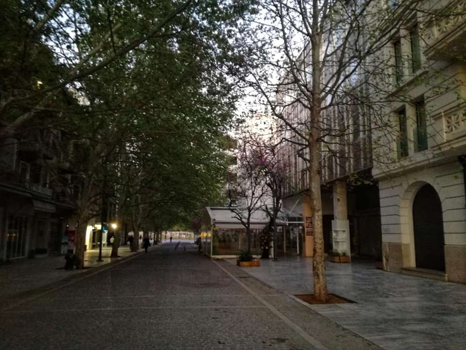 Διονυσίου Αρεοπαγίτου