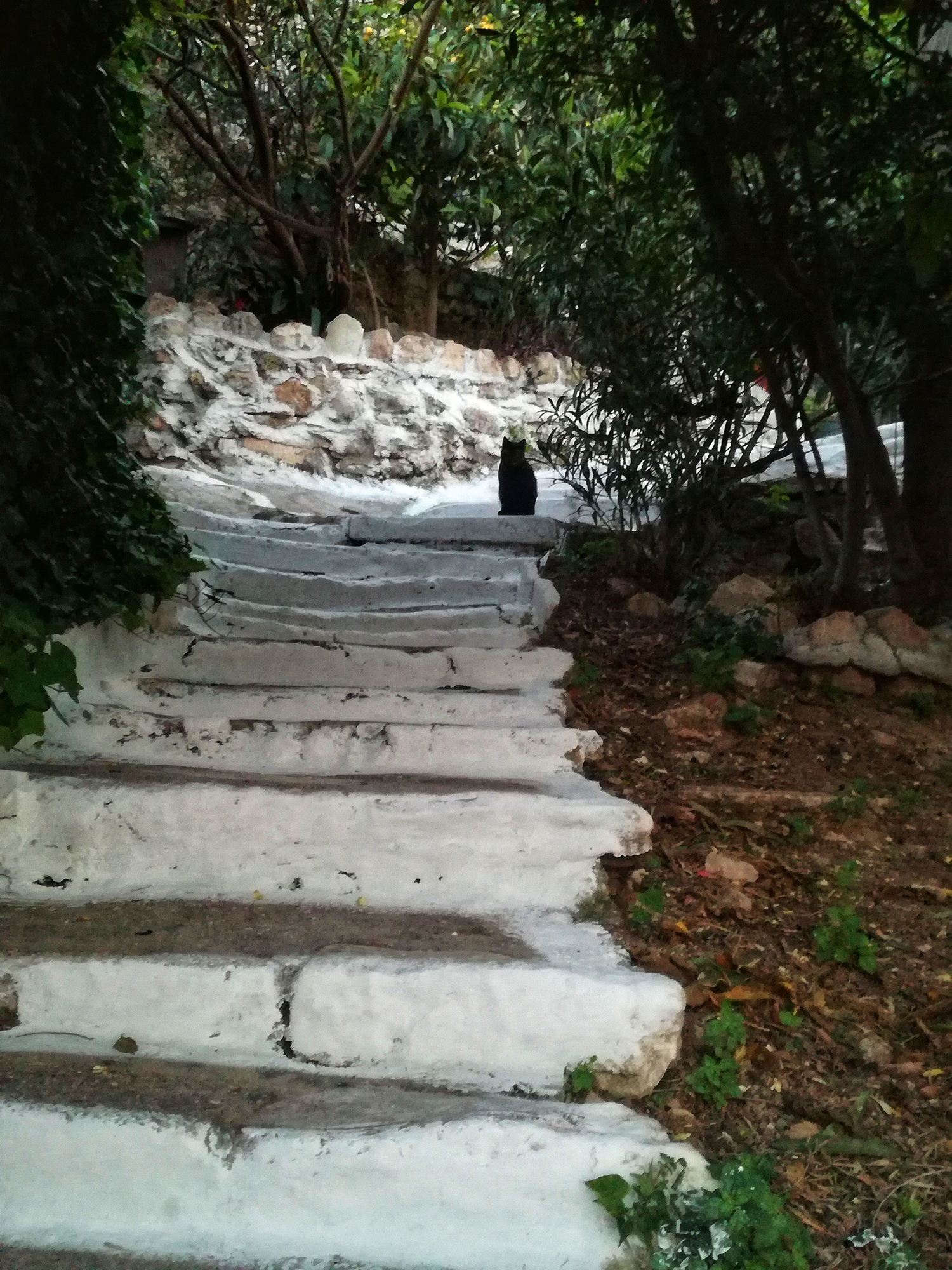 Αναφιώτικα