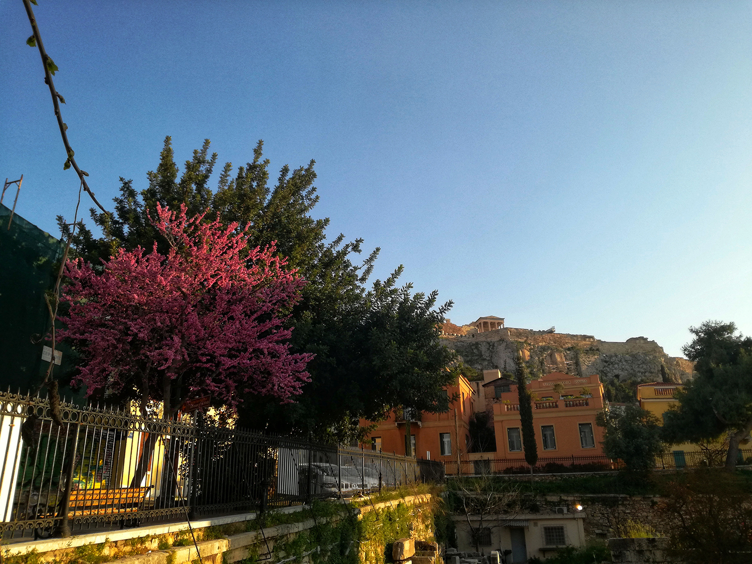 Ακρόπολη, Πλάκα