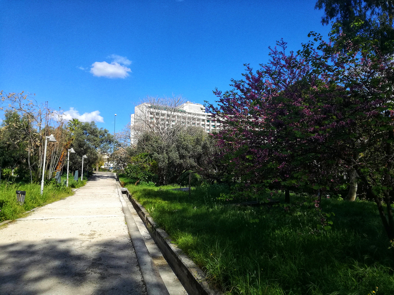 Πάρκο Ριζάρη