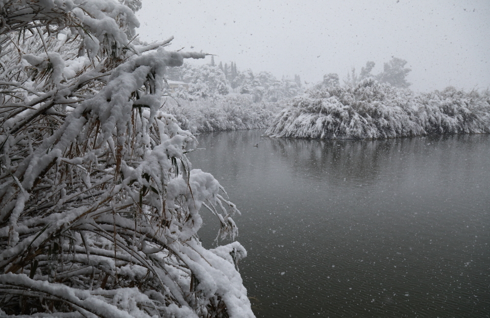 Χιονισμένη Αθήνα