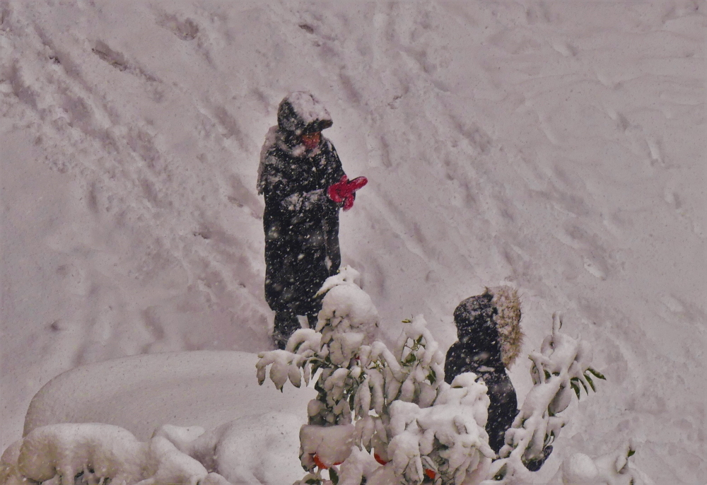 Πετρούπολη