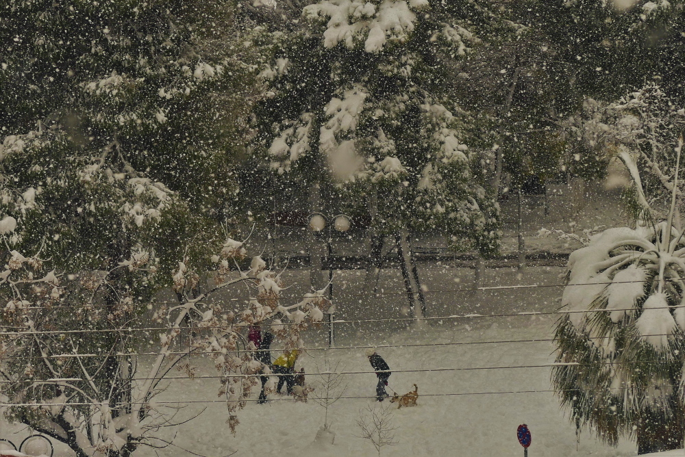 Πετρούπολη