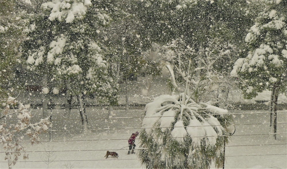 Πετρούπολη